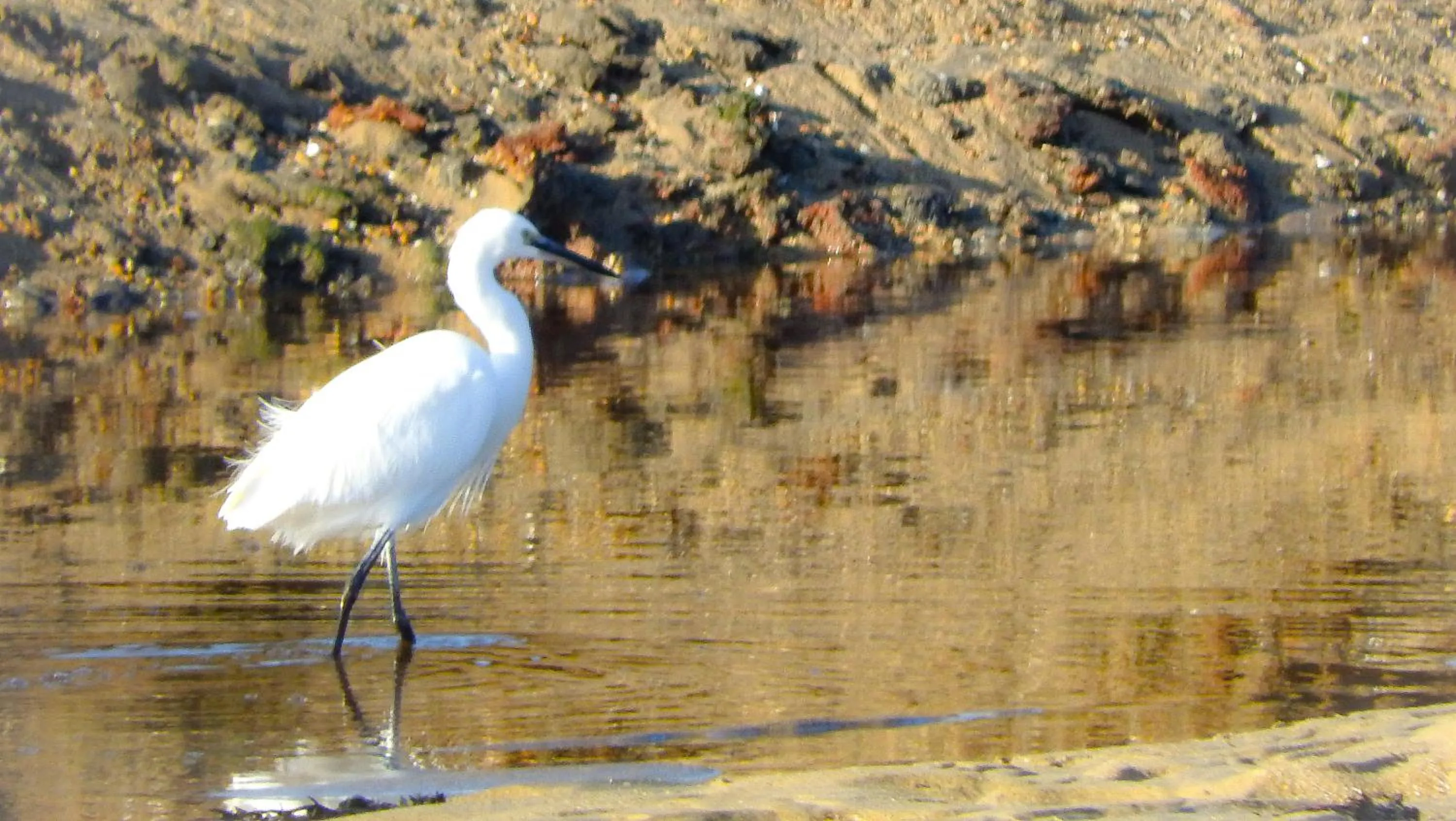 Natural landscape in Hotel Alicia Auray Le Bono
