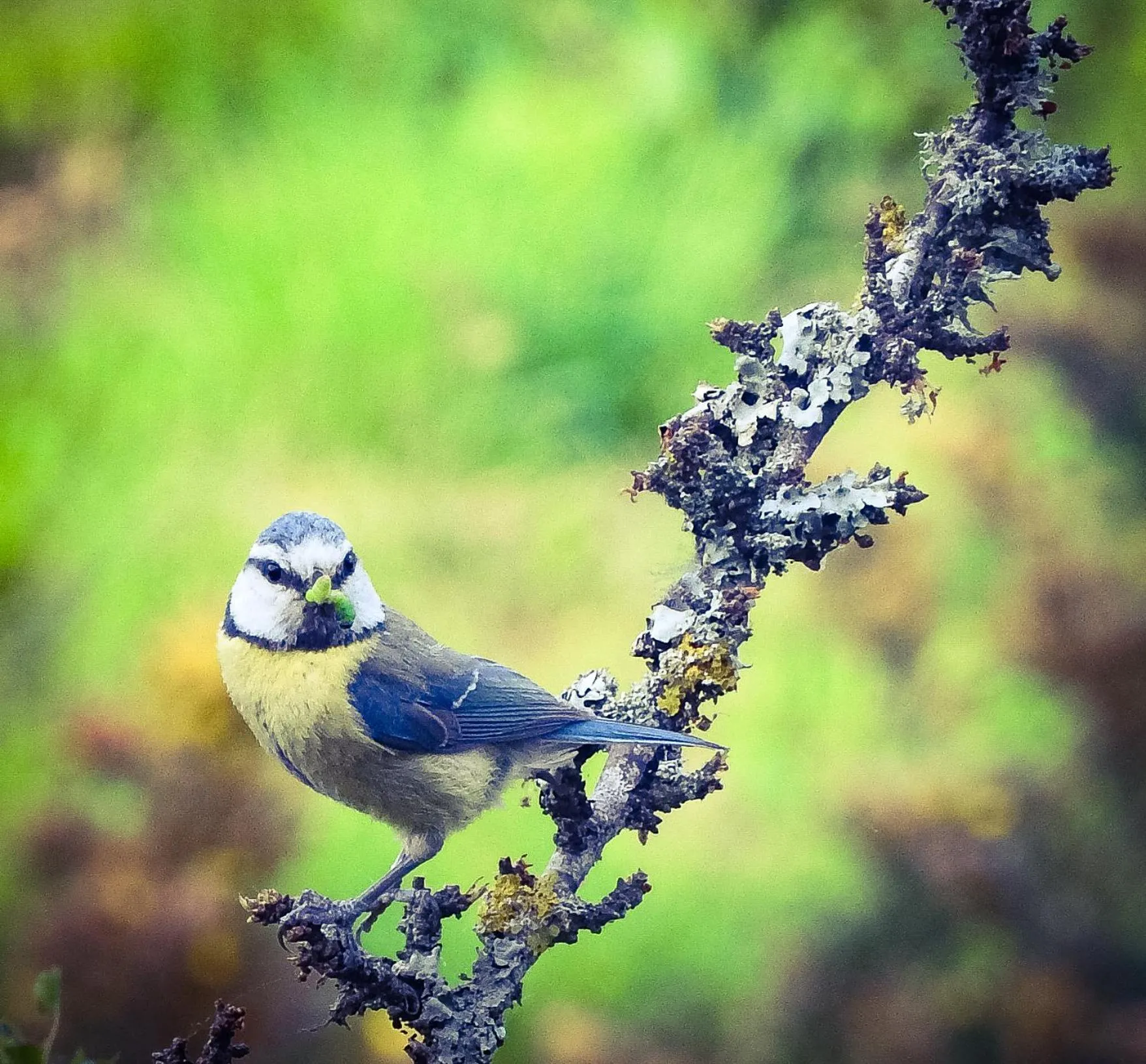 Day in Hotel Alicia Auray Le Bono