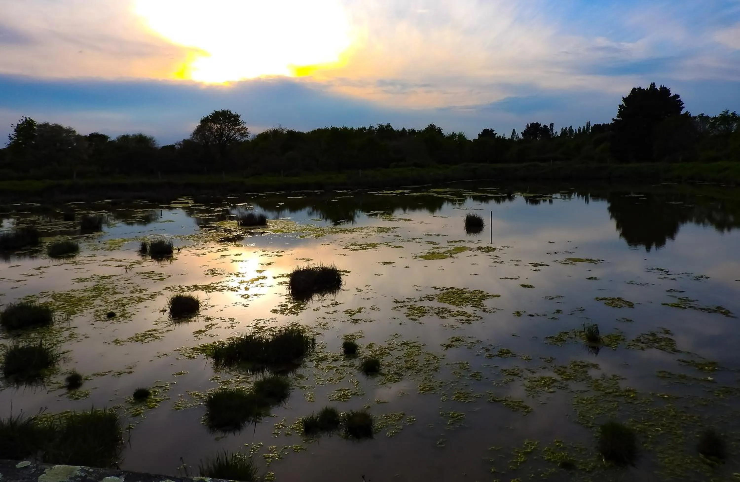 Natural landscape in Hotel Alicia Auray Le Bono