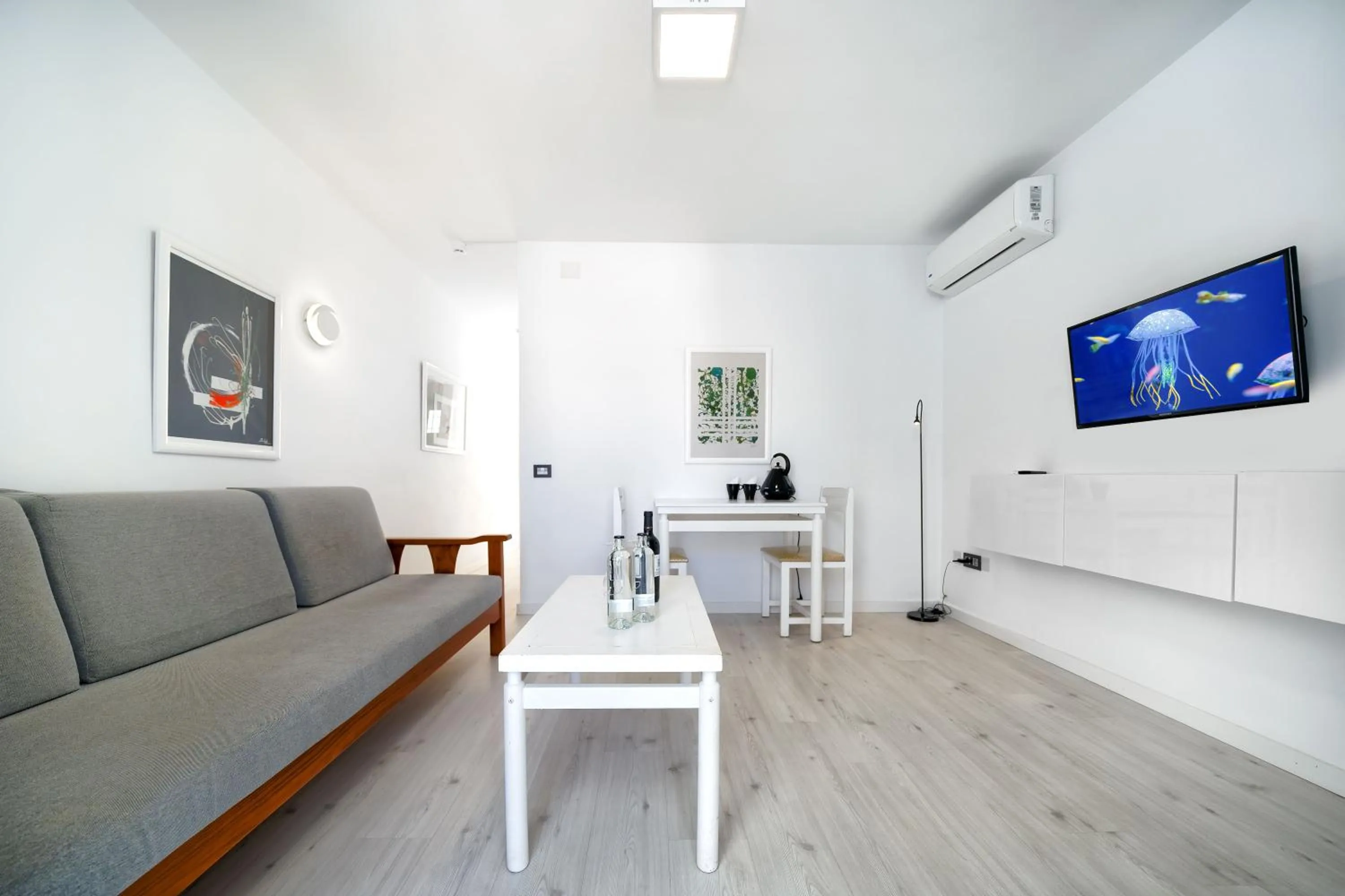 TV and multimedia in Atlantic Sun Beach - Gay Men Only