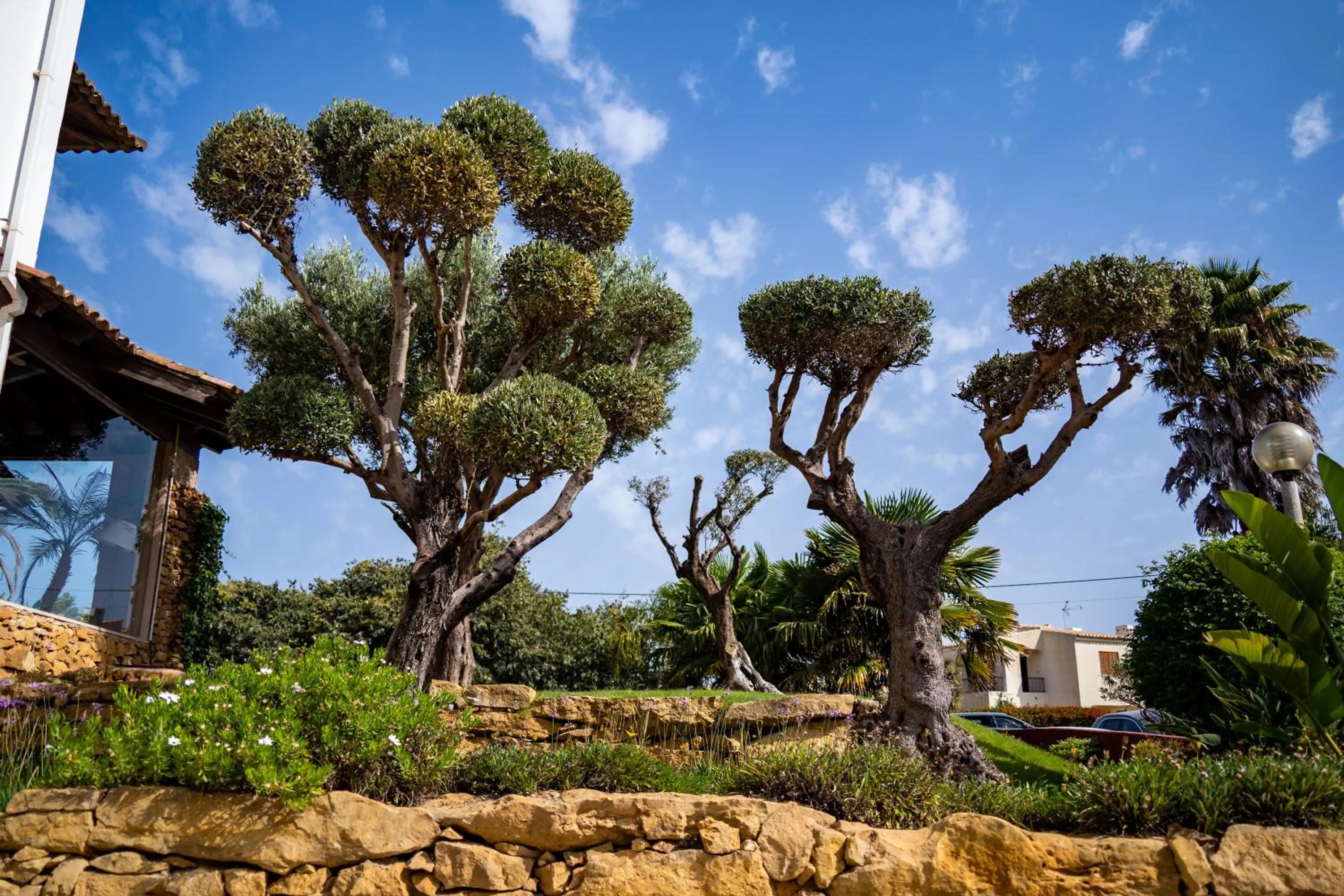Garden in Luzmar Villas