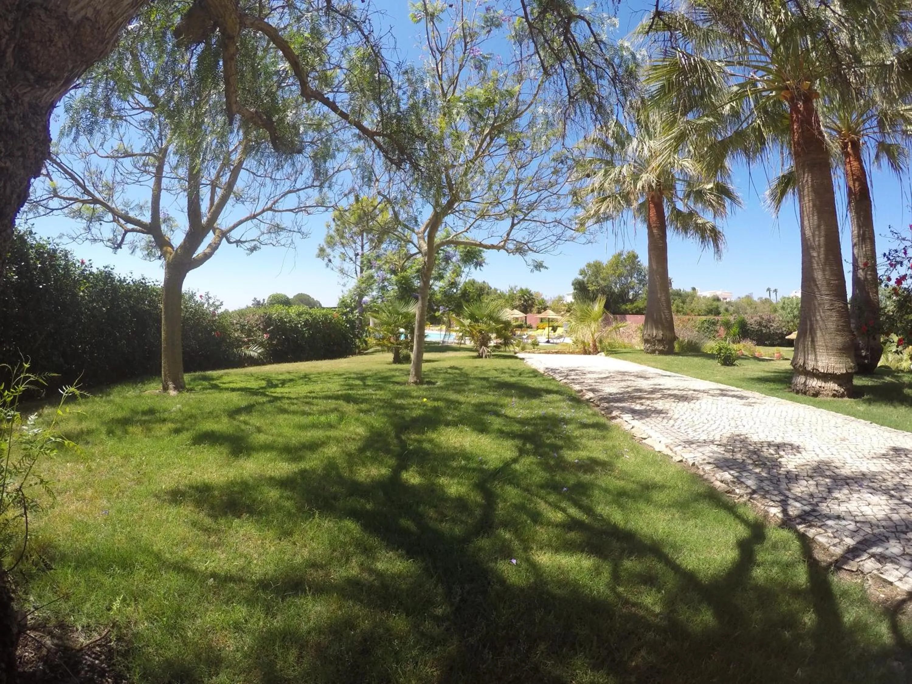 Garden in Luzmar Villas