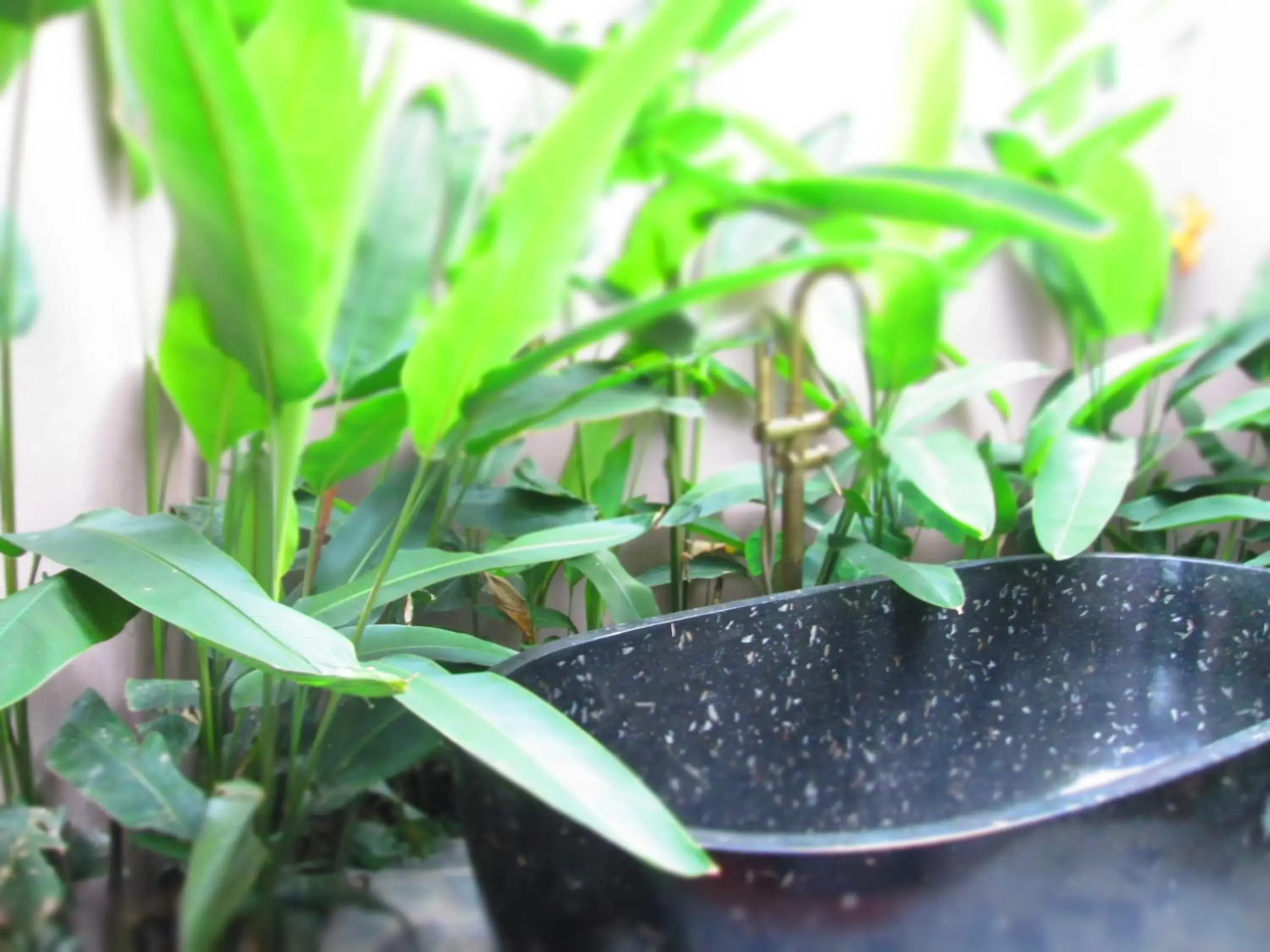 Bungalow in Ninh Binh Nature Homestay Bungalow in Ninh Binh Nature Homestay