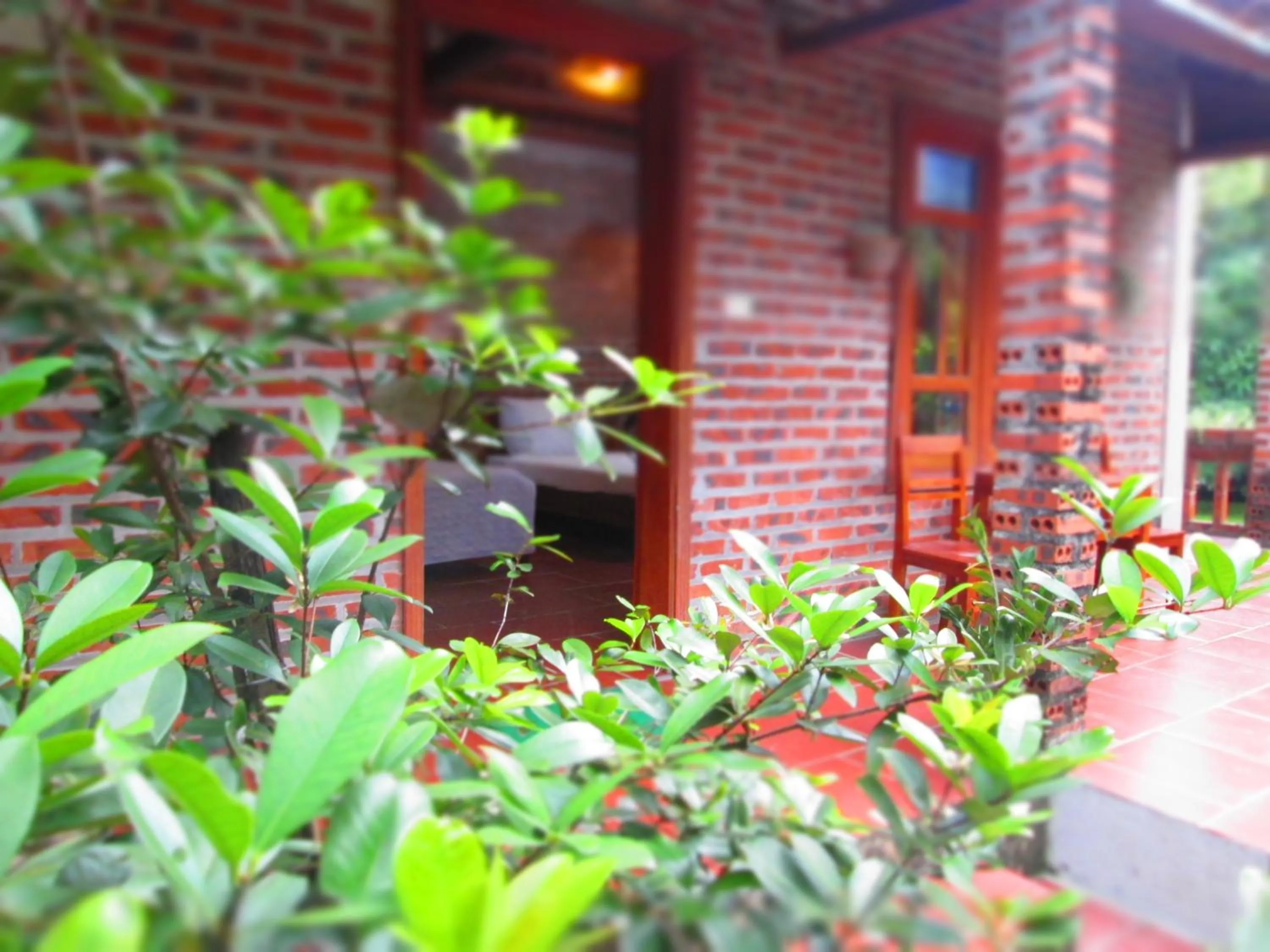 Property building in Ninh Binh Nature Homestay