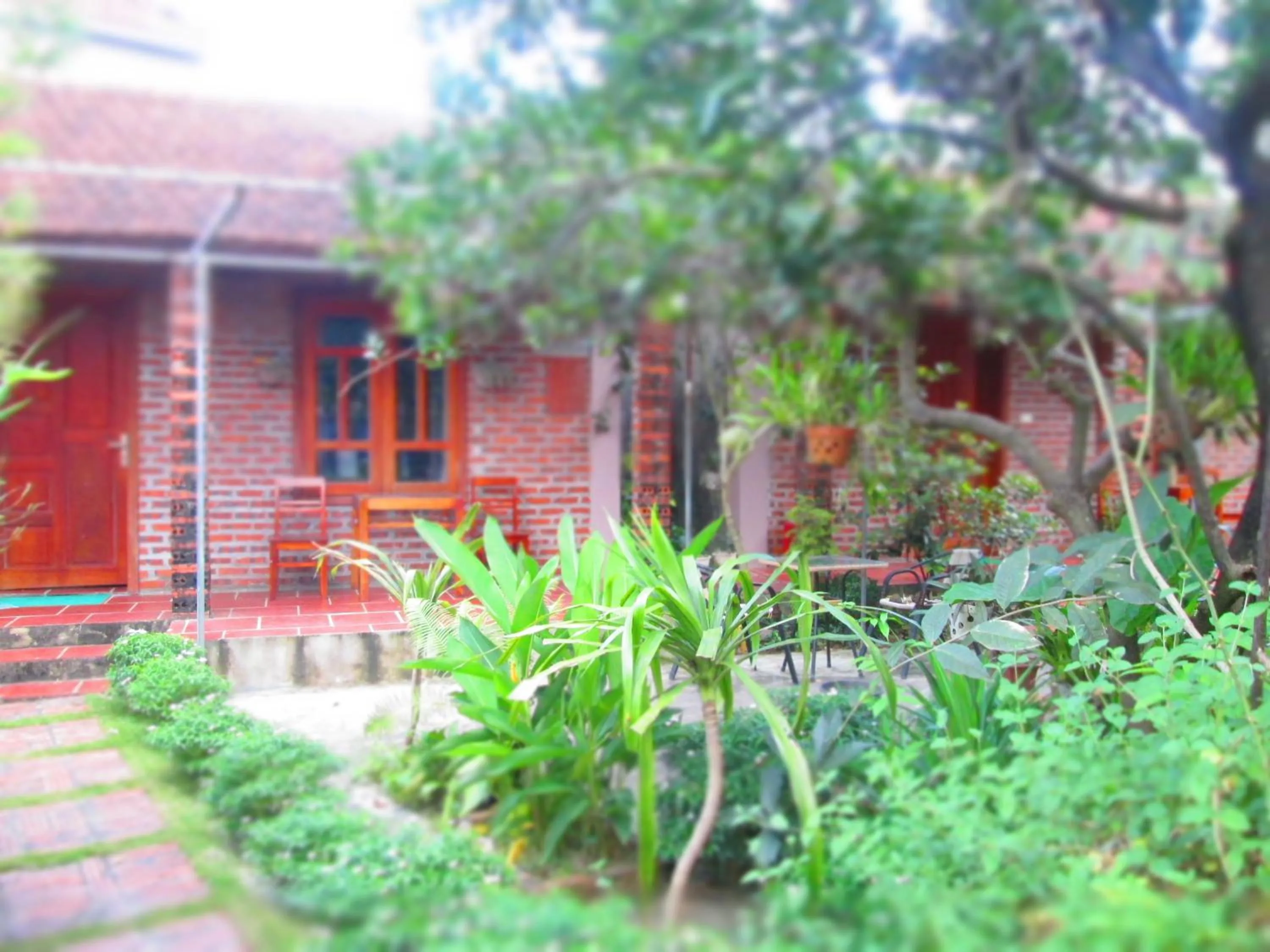 View (from property/room) in Ninh Binh Nature Homestay