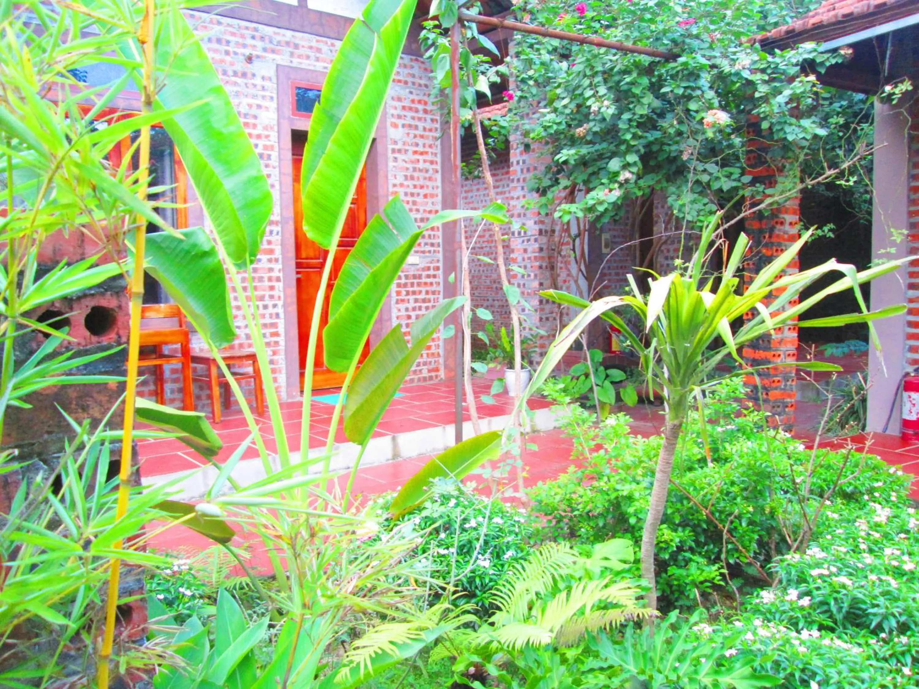 View (from property/room) in Ninh Binh Nature Homestay