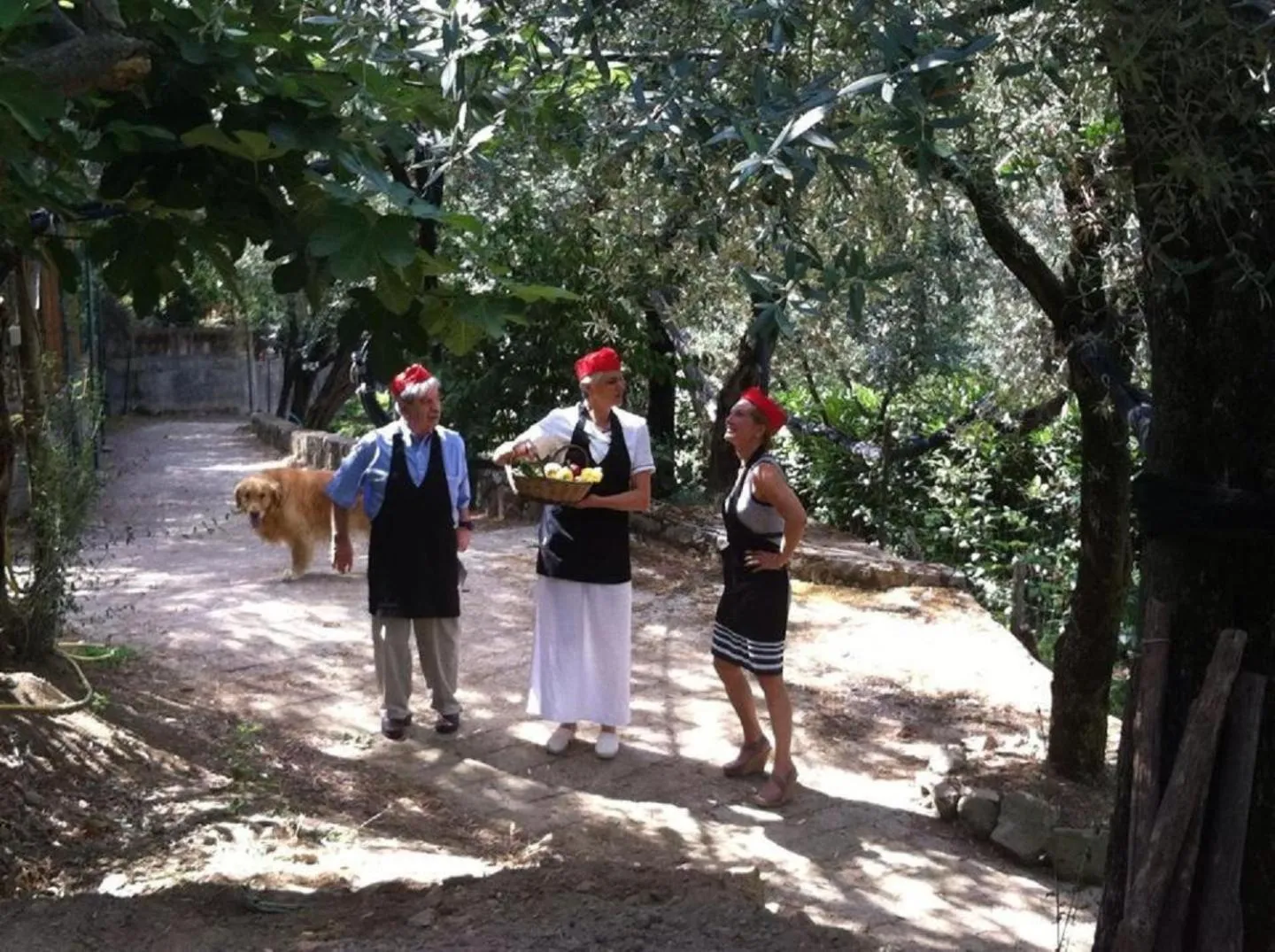 Garden in Villa Pane Resort