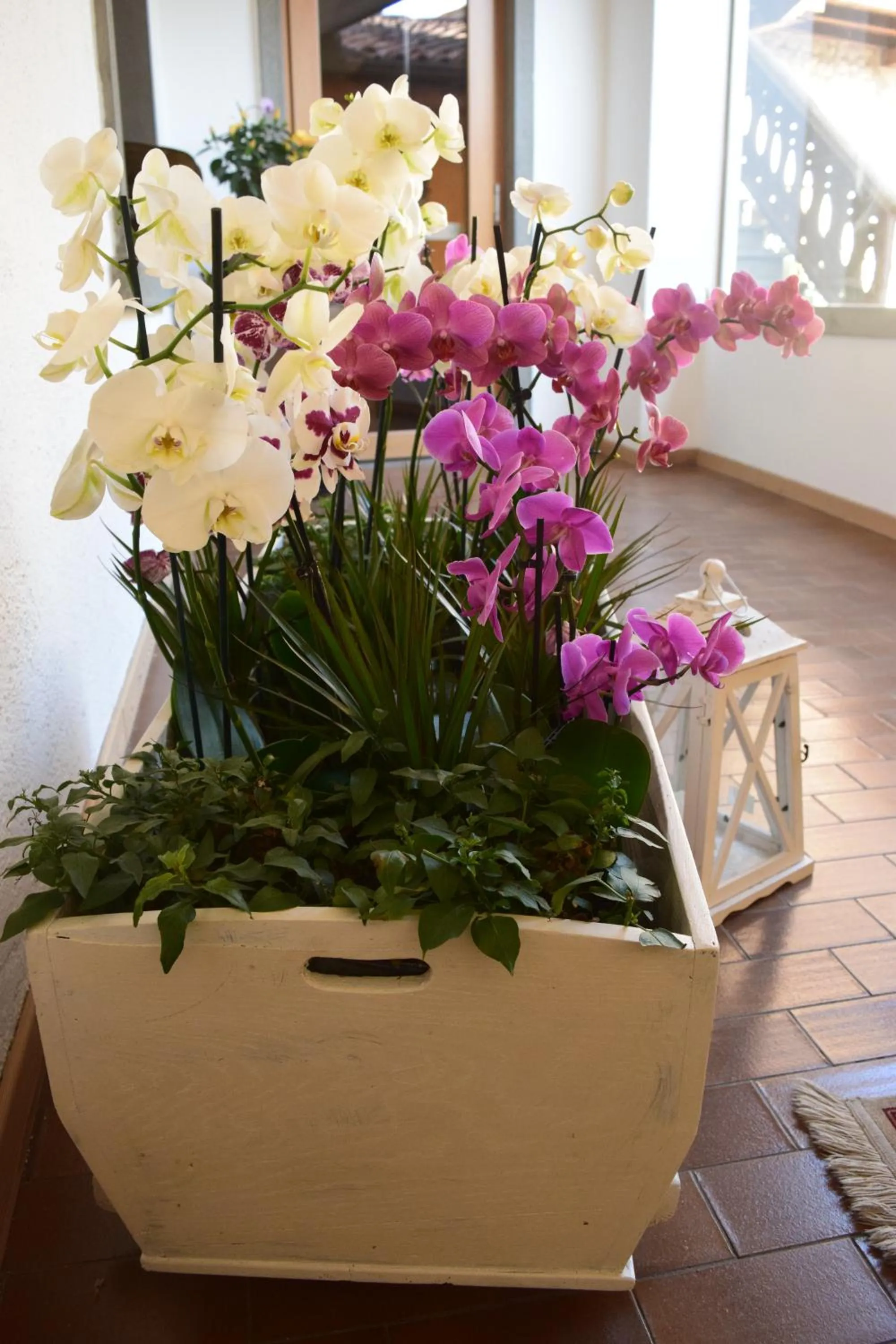 Albergo Ristorante Orazio