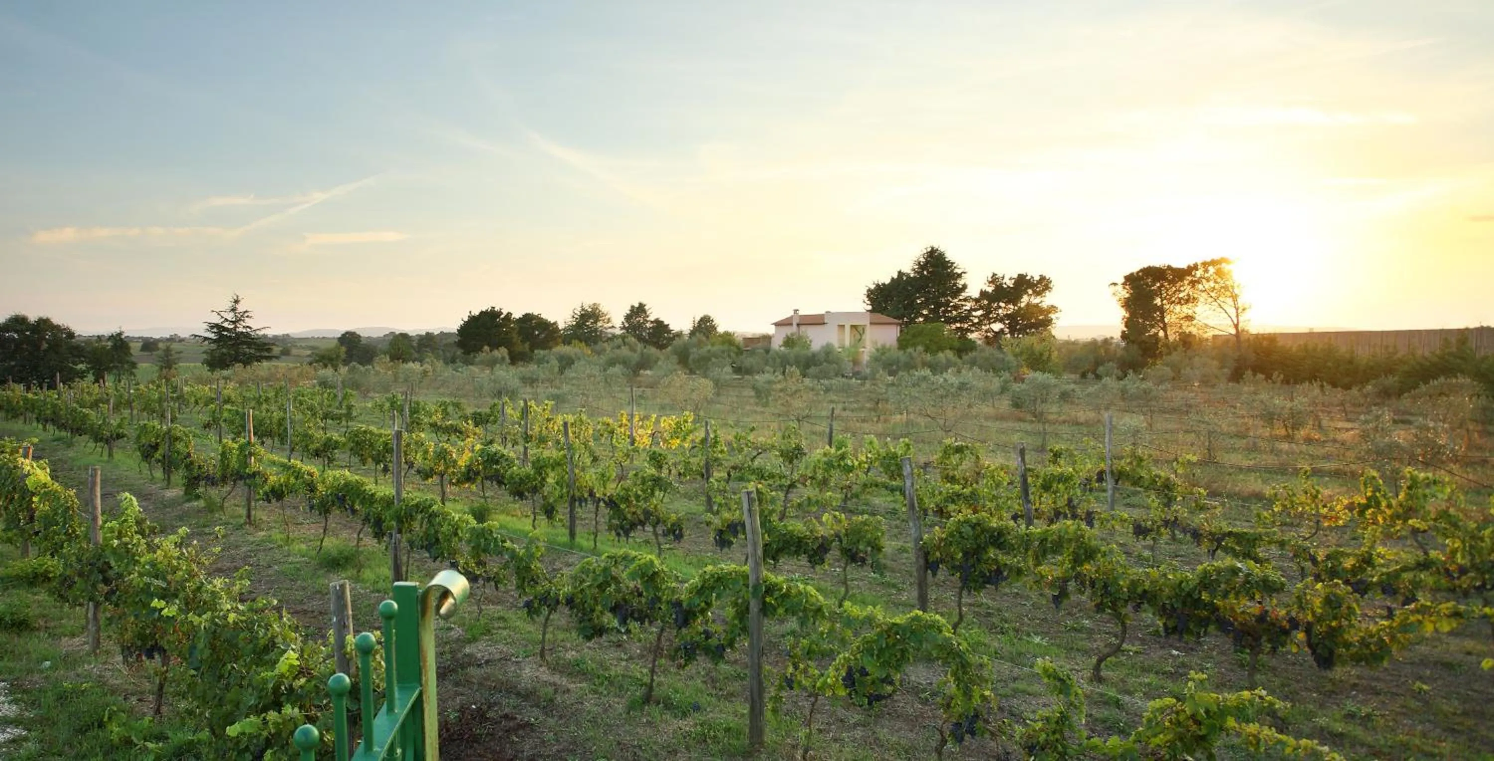 Facade/entrance in Agriturismo Il Marrugio
