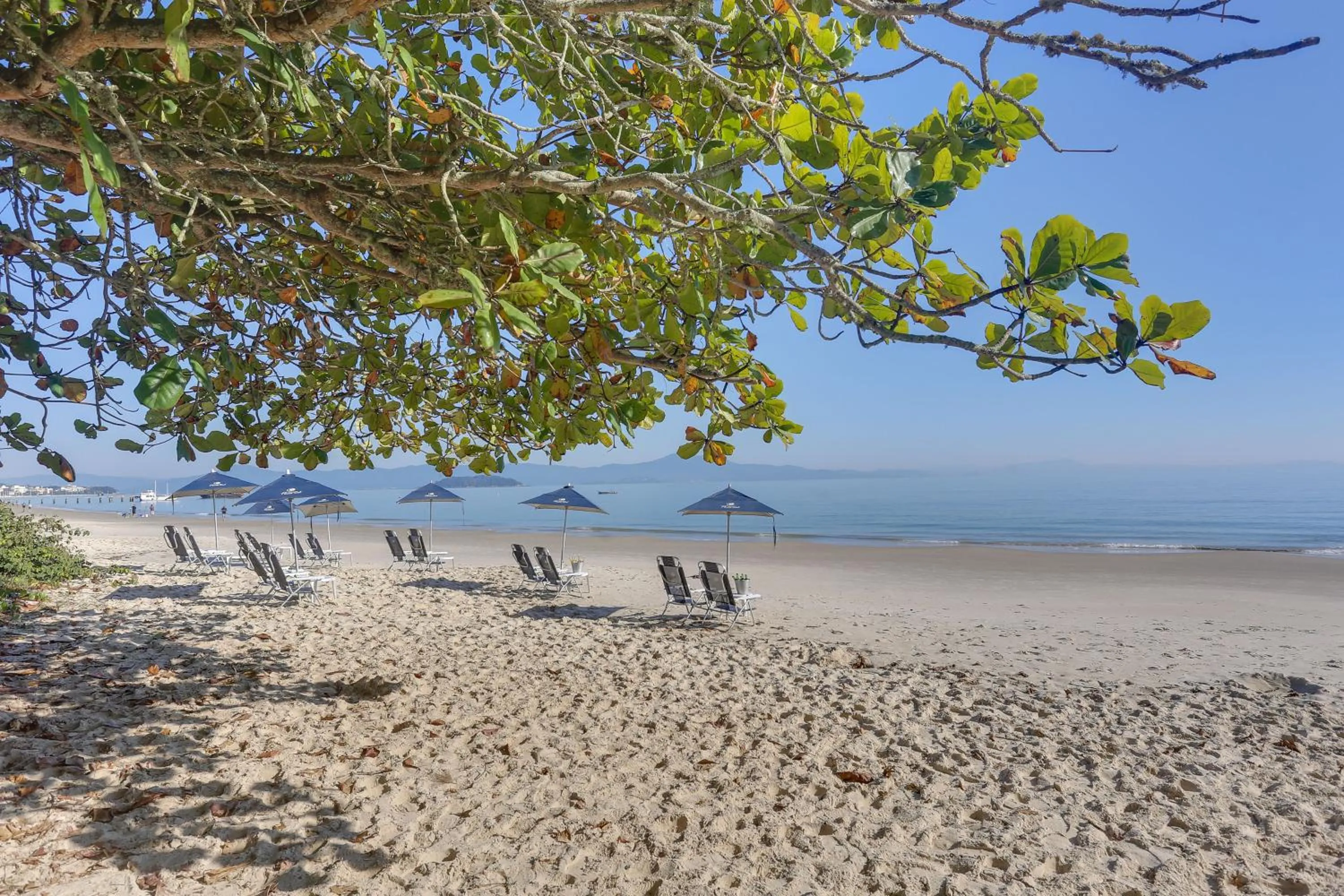 Natural landscape in Hotel Porto Sol Beach