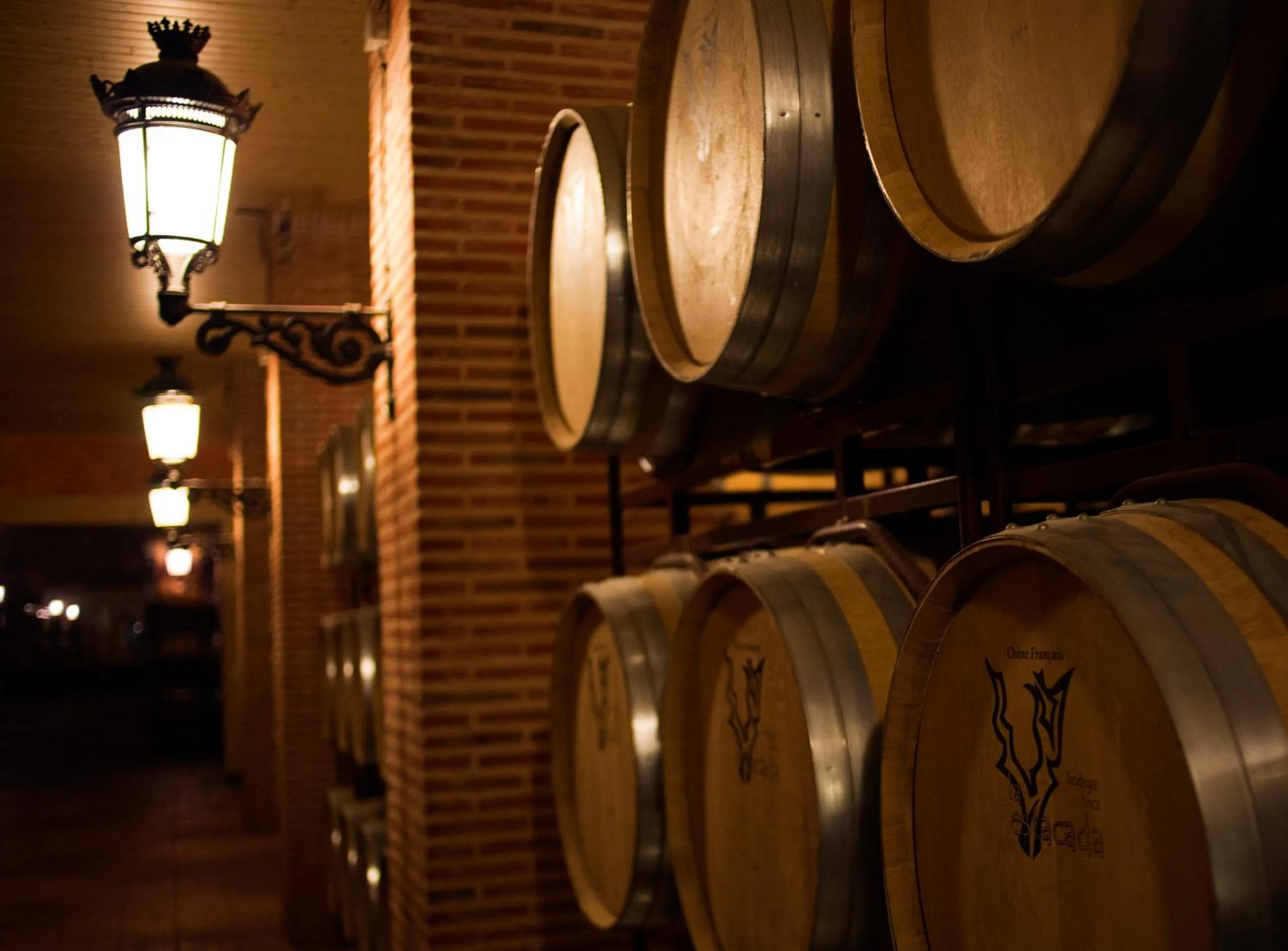 Other in Complejo Enoturístico Finca La Estacada