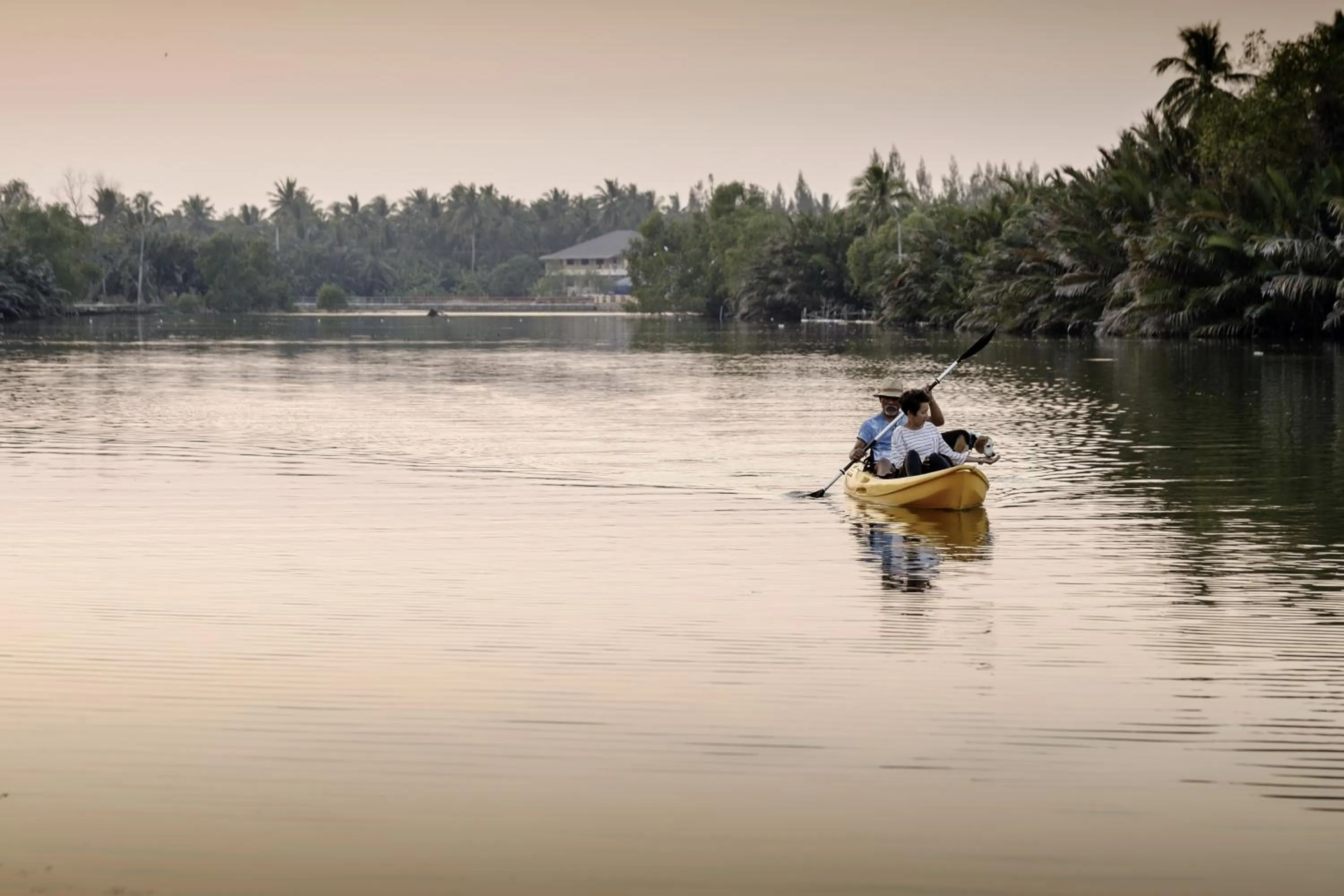 Natural landscape in Amphawa Caza Platuu