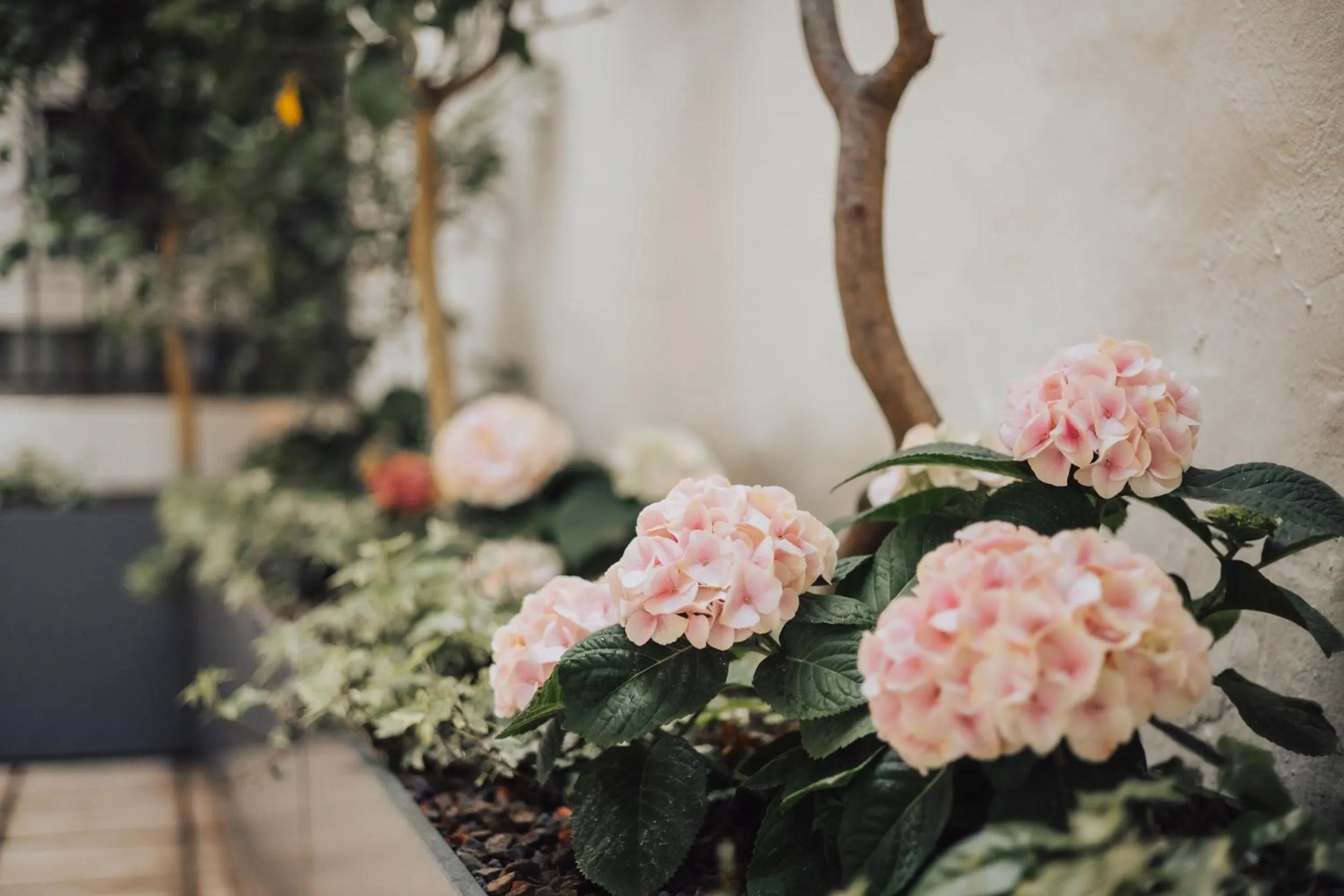 Property building in Feichter Hotel & Bistro