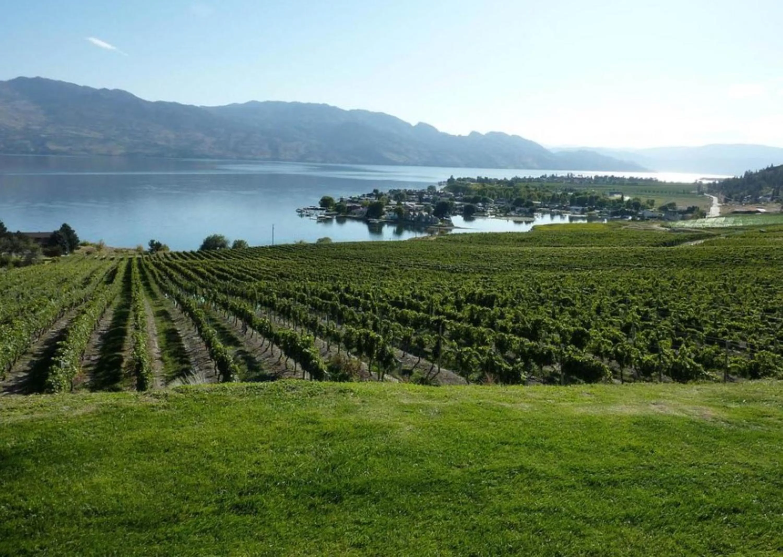 Nearby landmark in Holiday Inn Hotel & Suites Osoyoos by IHG