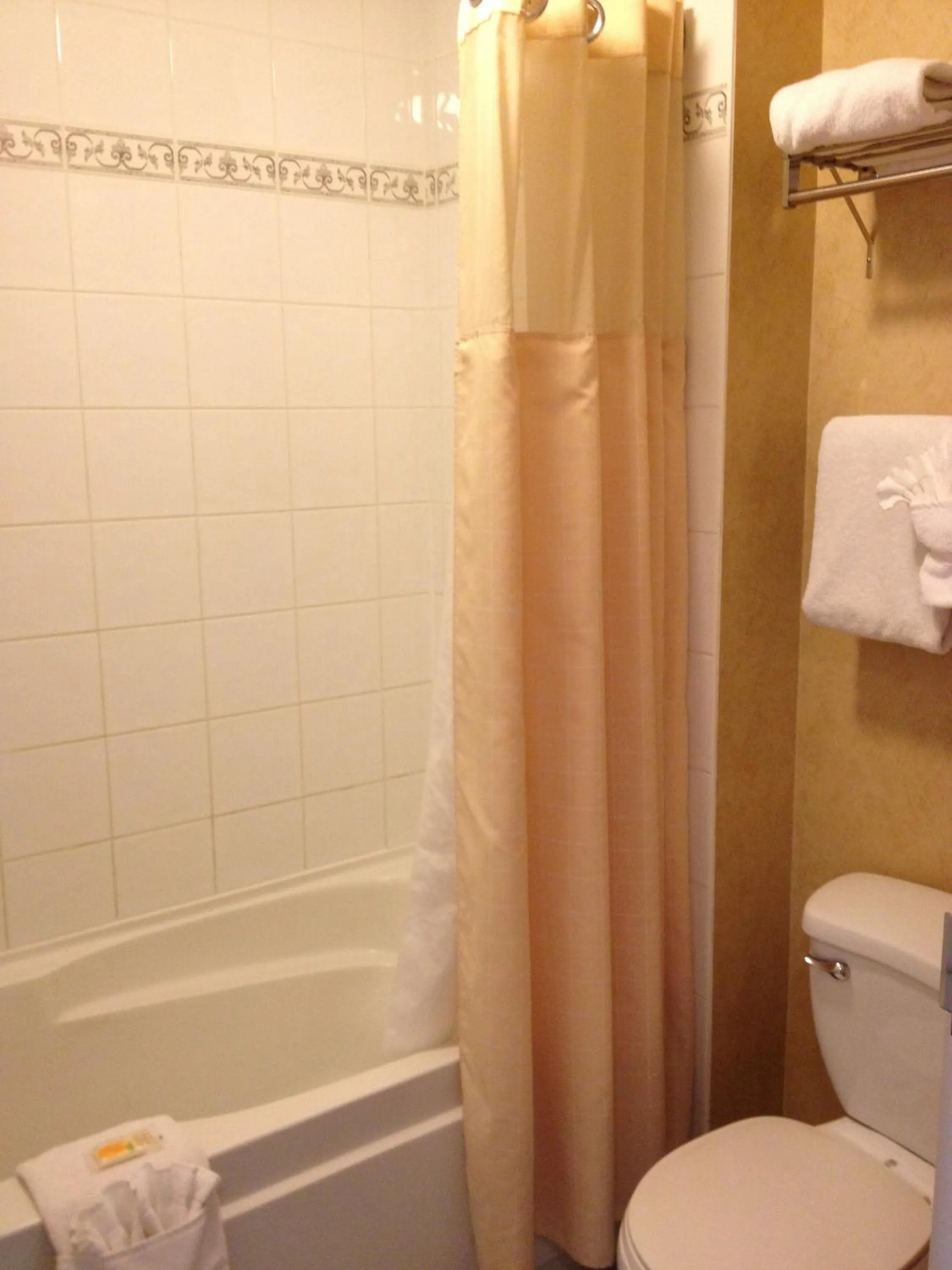 Bathroom in Holiday Inn Hotel & Suites Osoyoos by IHG