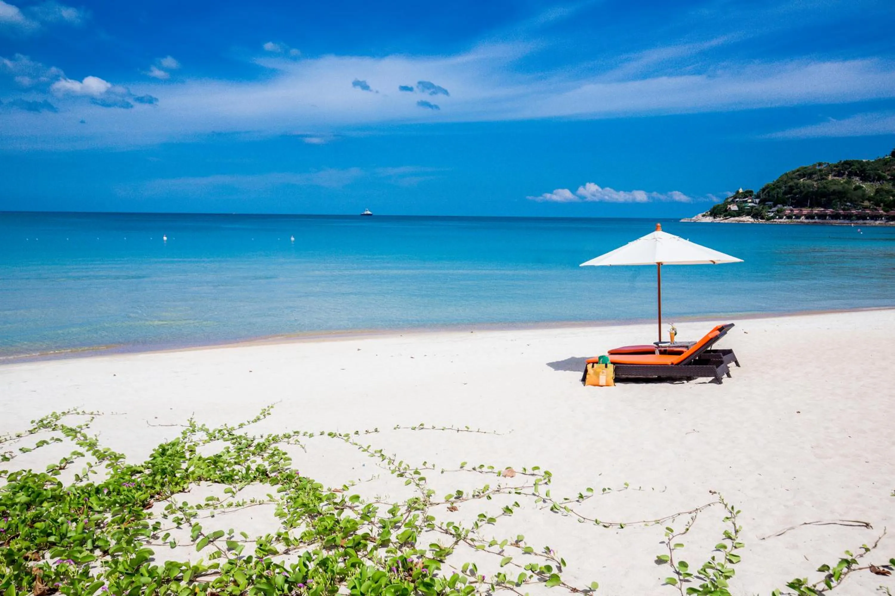 Day in New Star Beach Resort