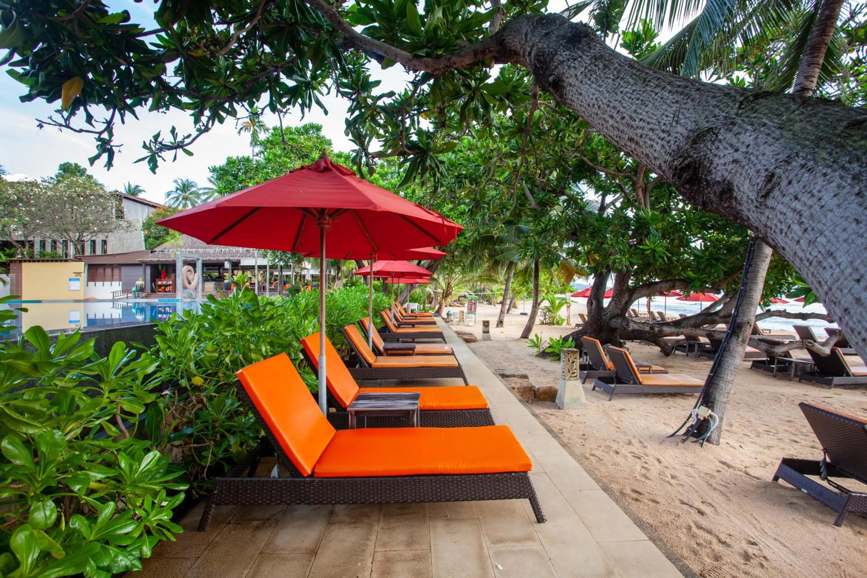 sunbed in New Star Beach Resort