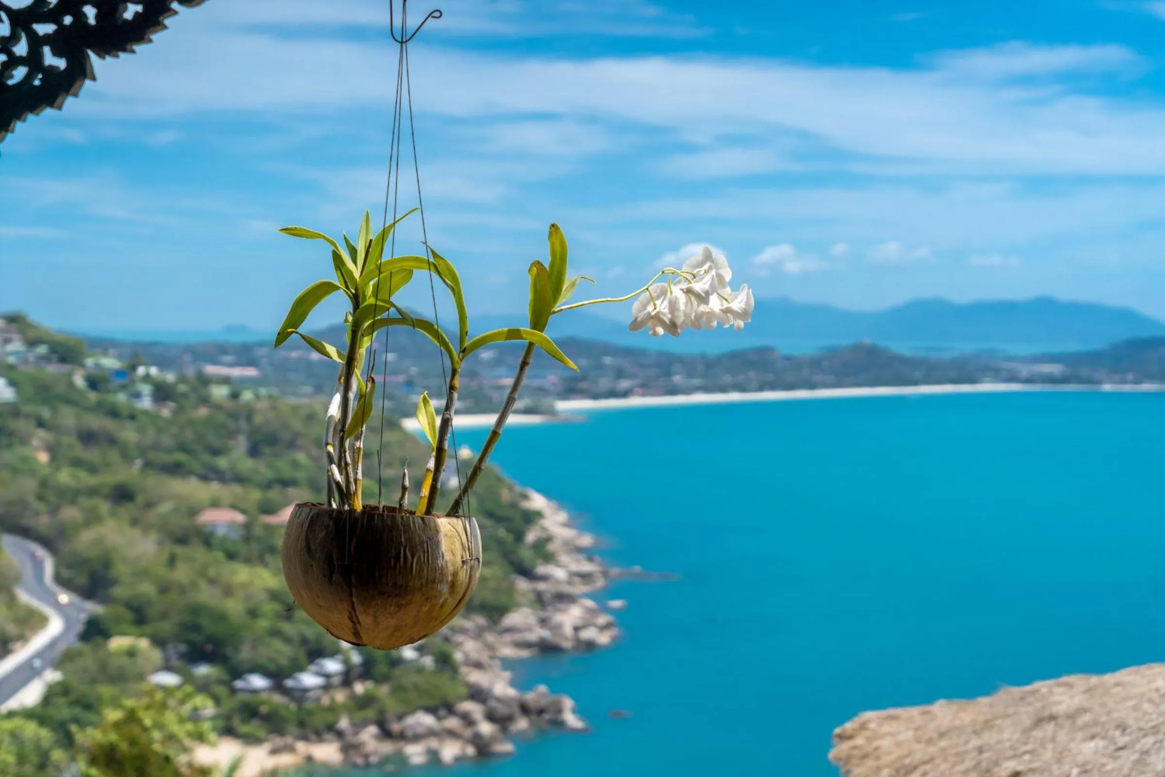 View (from property/room) in Sandalwood Luxury Villa Resort