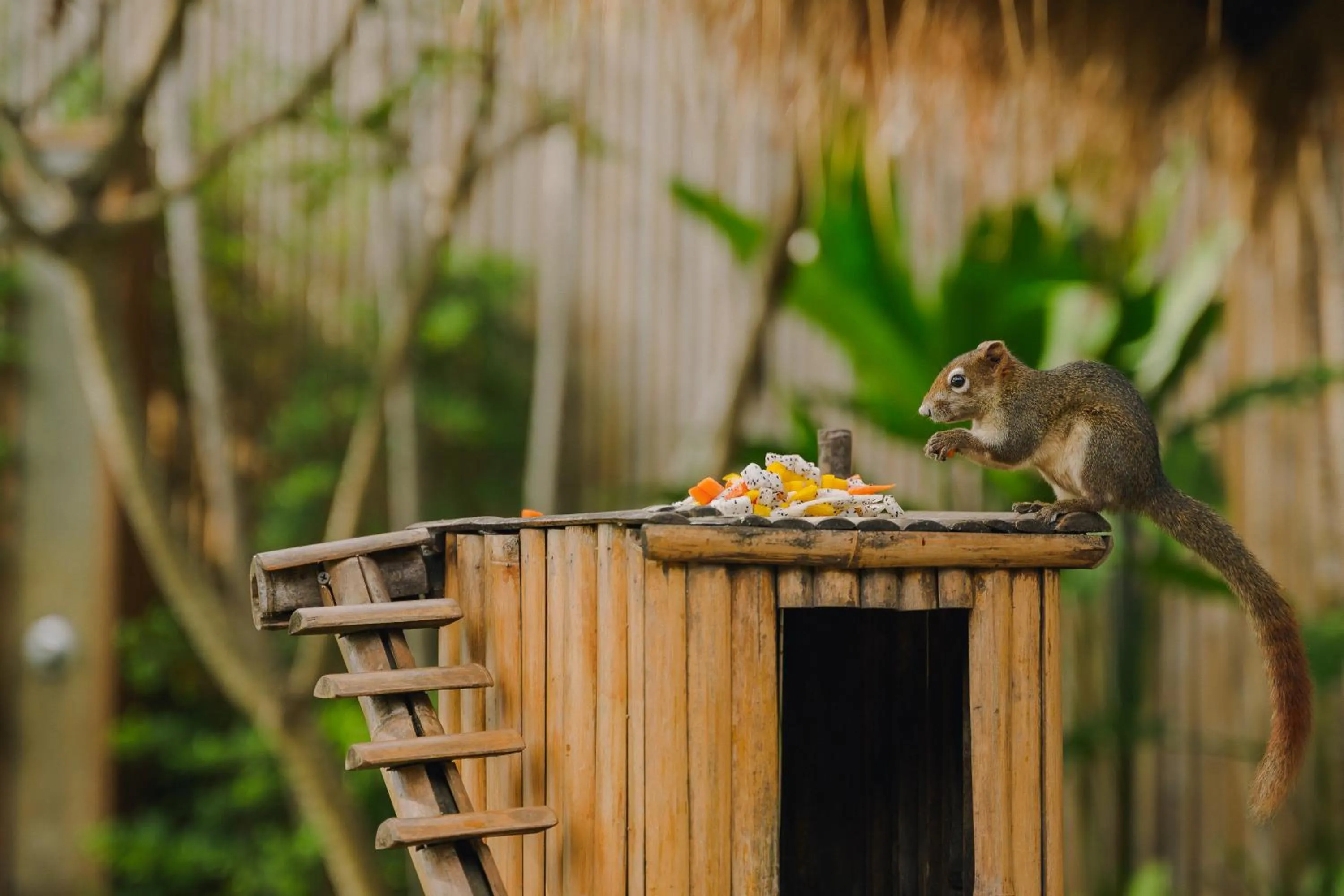 View (from property/room) in Buri Rasa Village Samui Adults Only