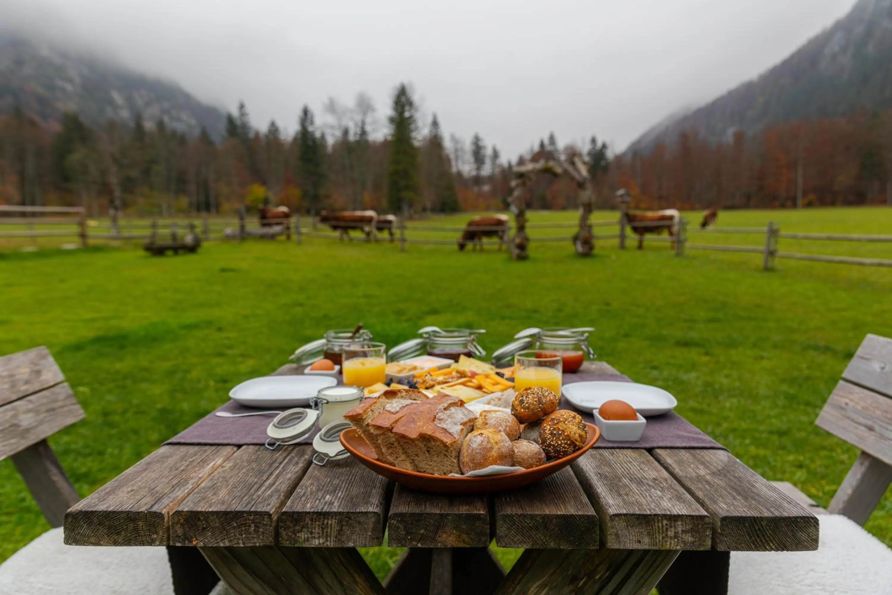 Restaurant/places to eat in Hiša Ojstrica