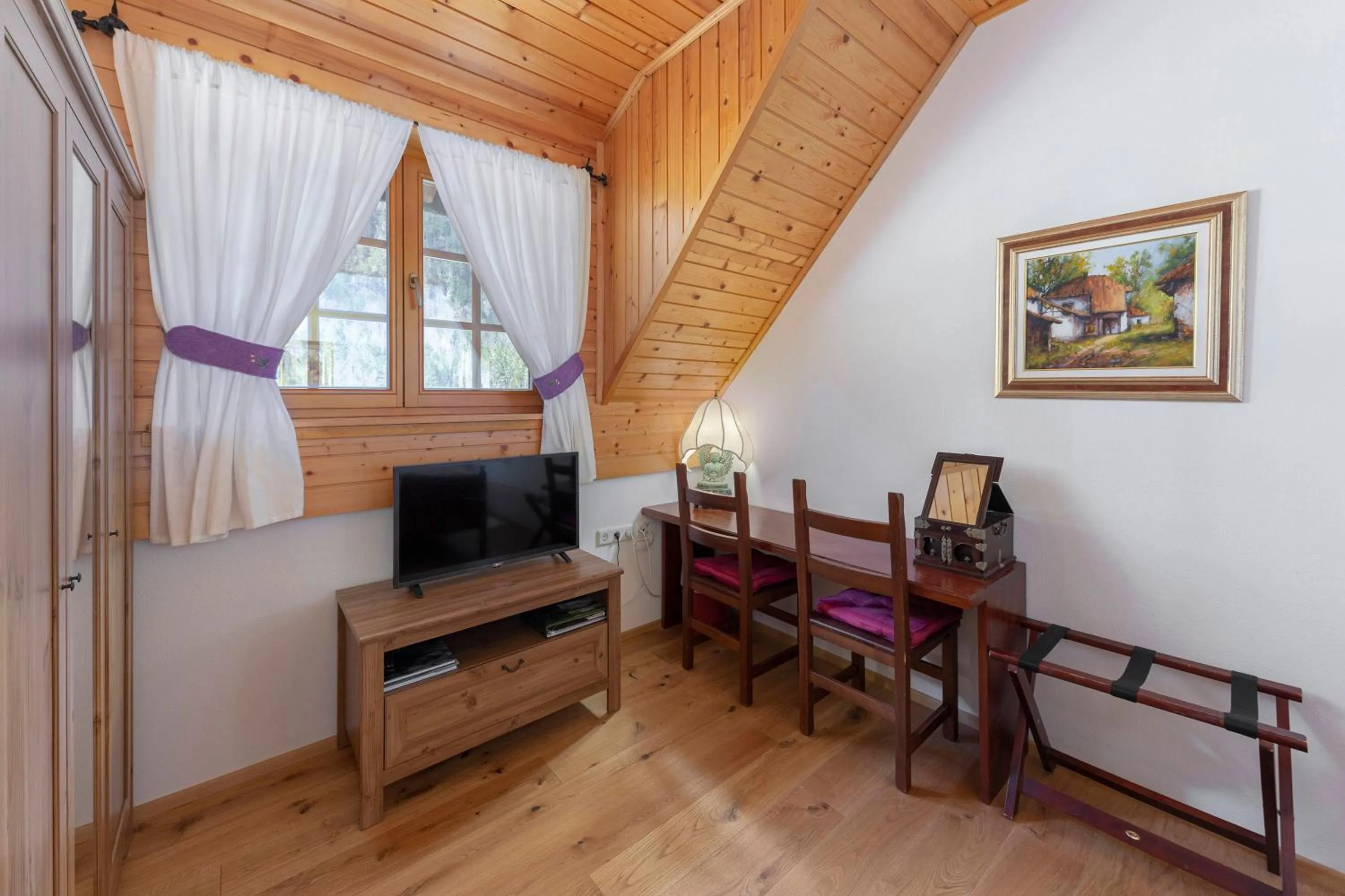 TV and multimedia in Hiša Ojstrica