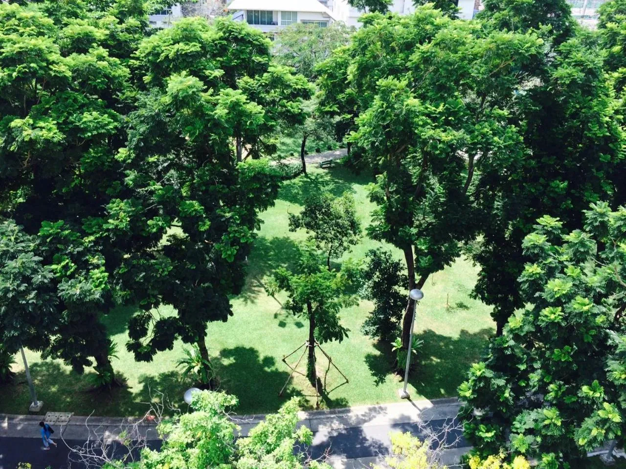 Garden view in Royal View Resort - Rang Nam