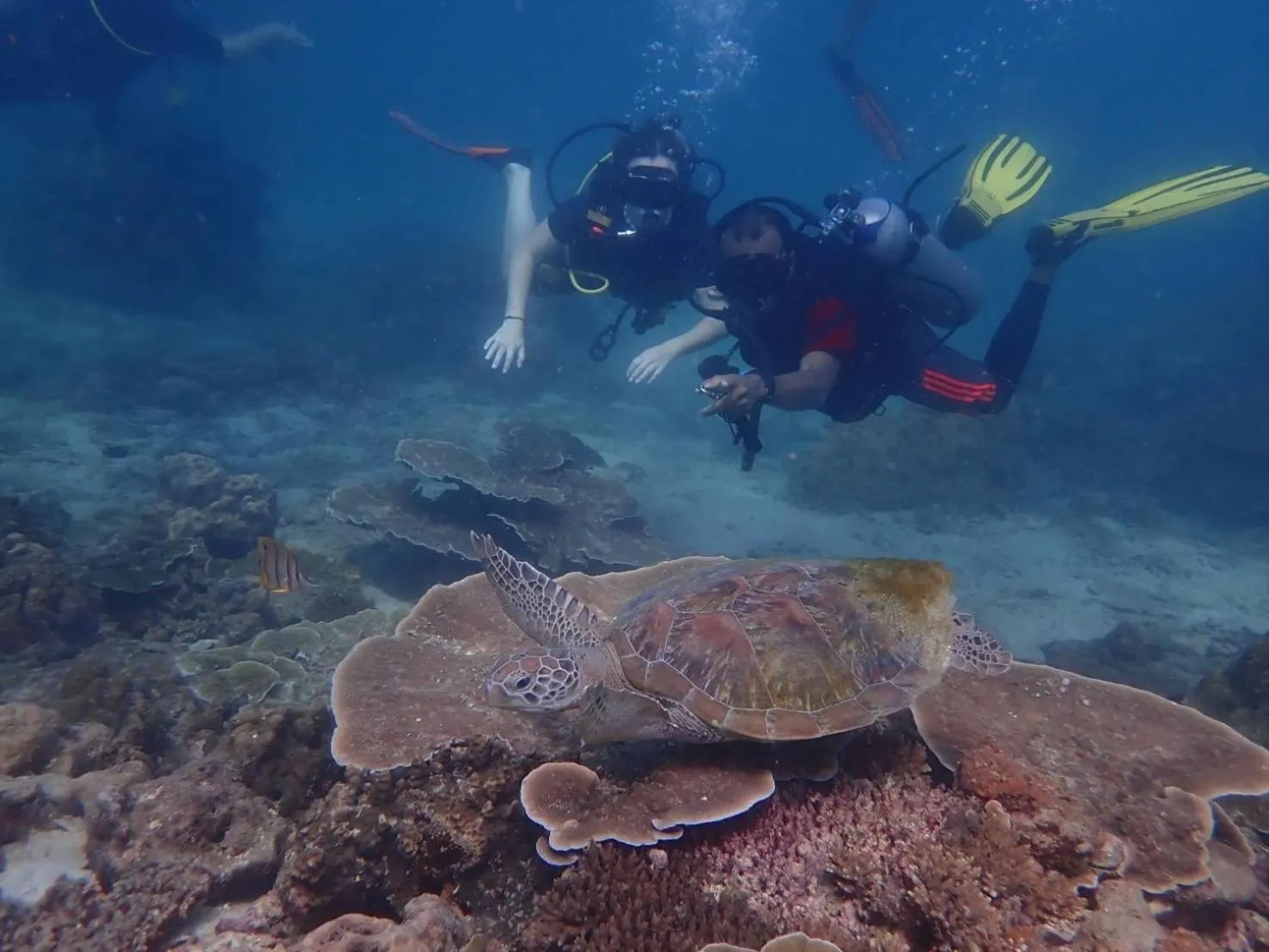 Diving in Vacation Village Phra Nang Inn - SHA Extra Plus