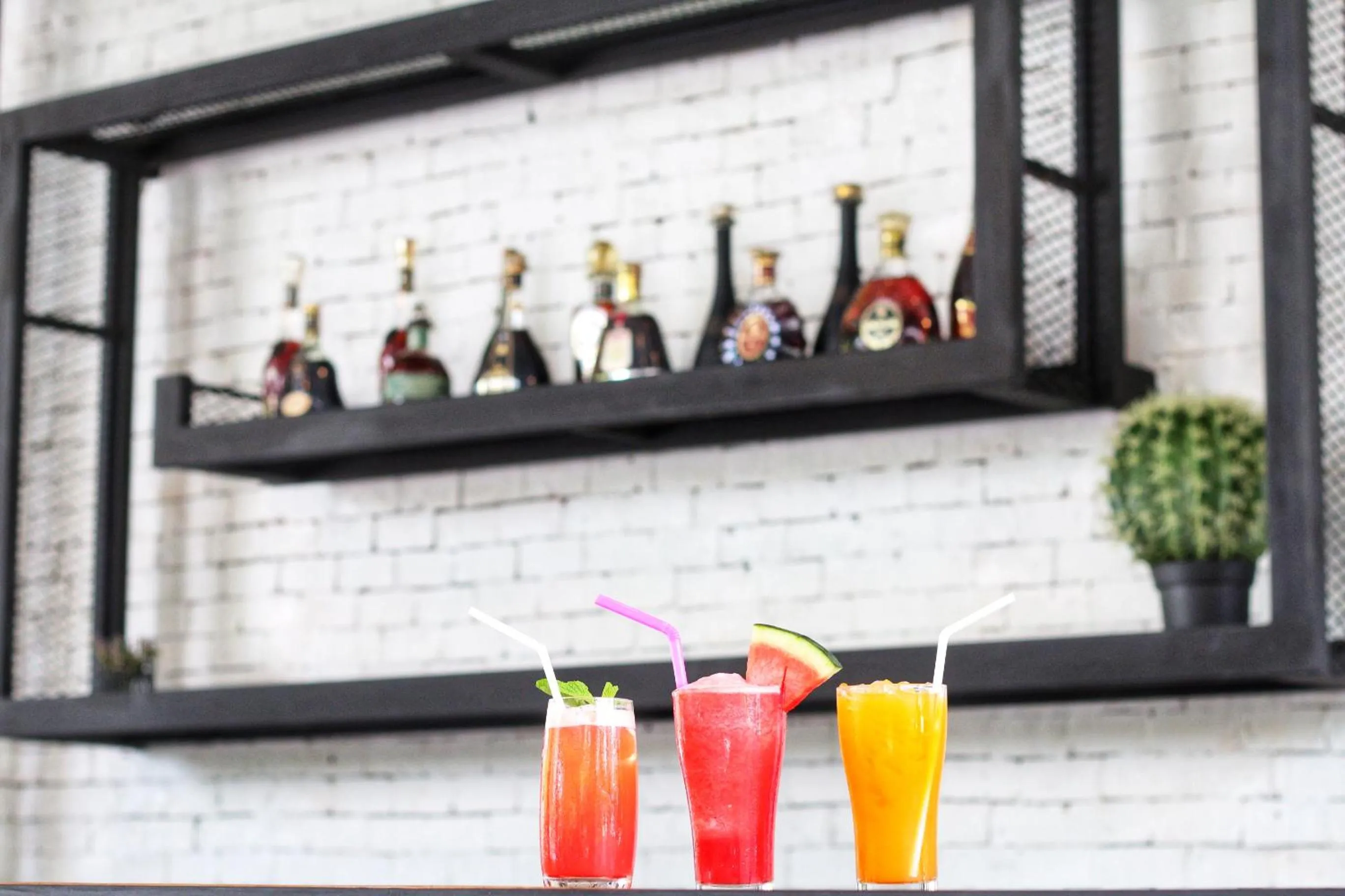 Lounge or bar in Paragon Inn