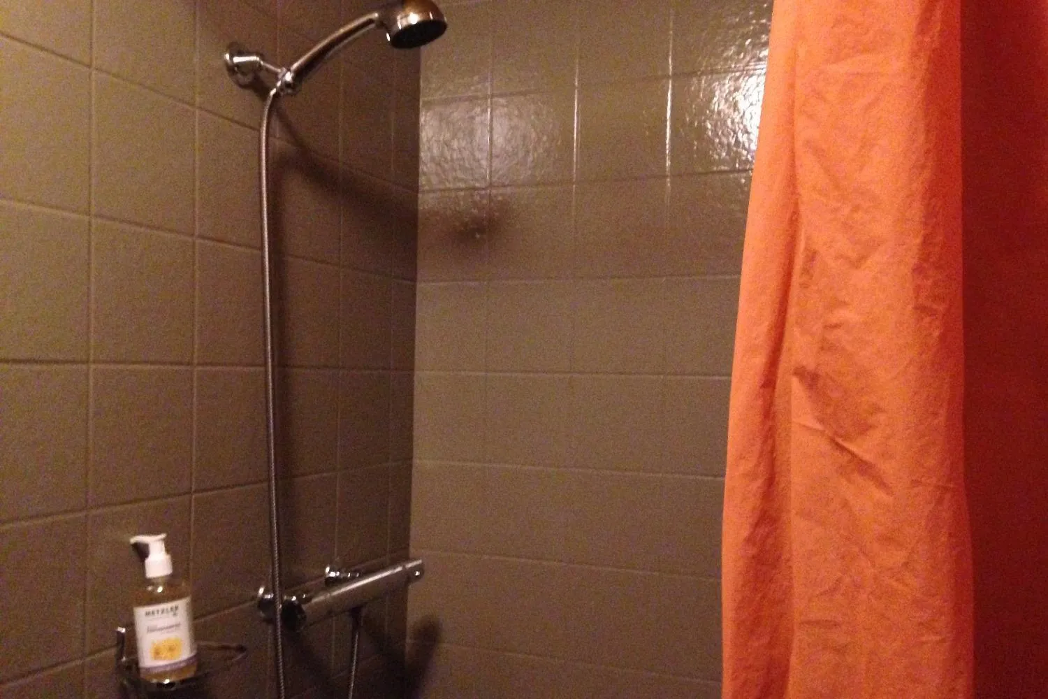 Shower in Landhus Almens