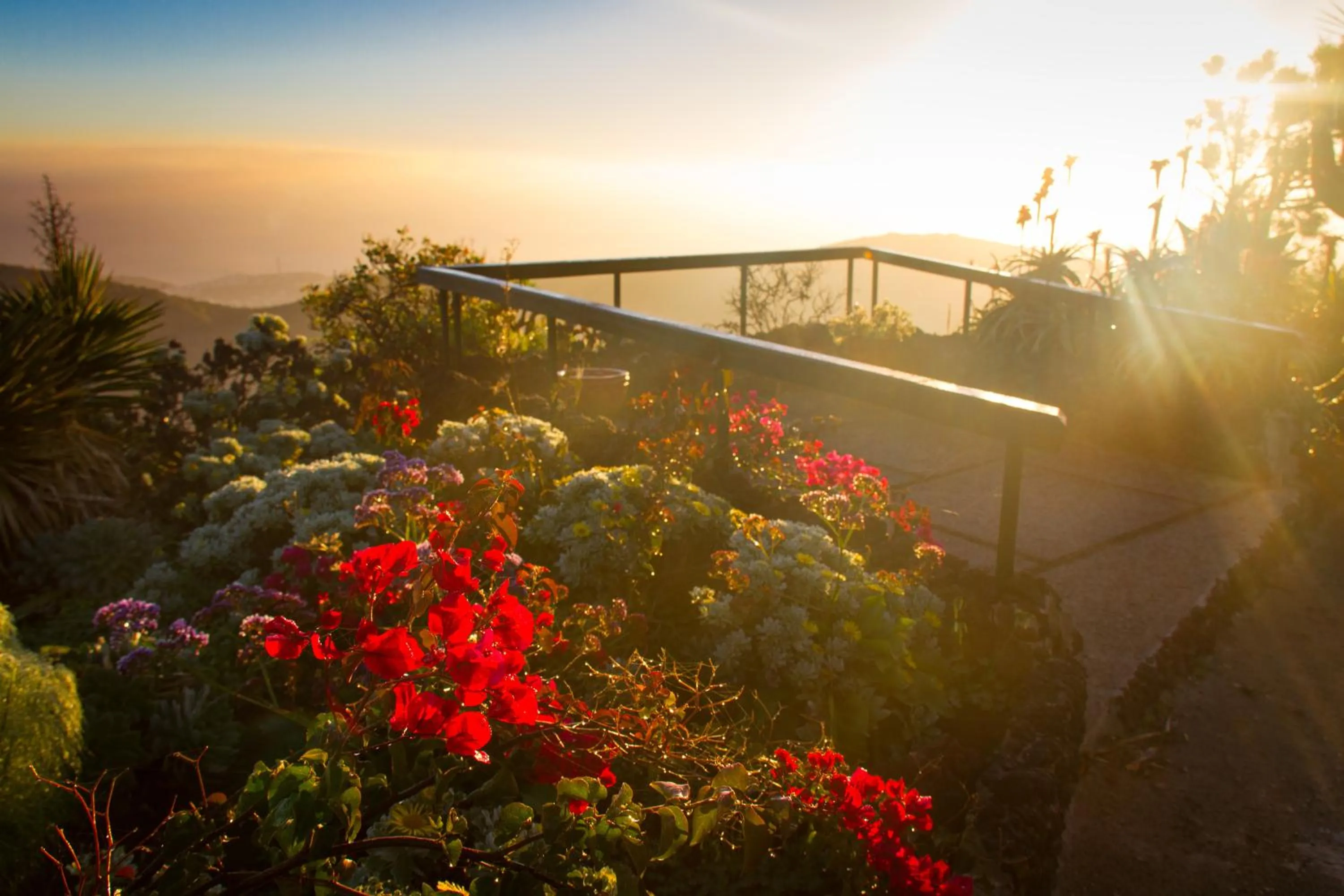 Garden in Bandama Golf Hotel by Airnest
