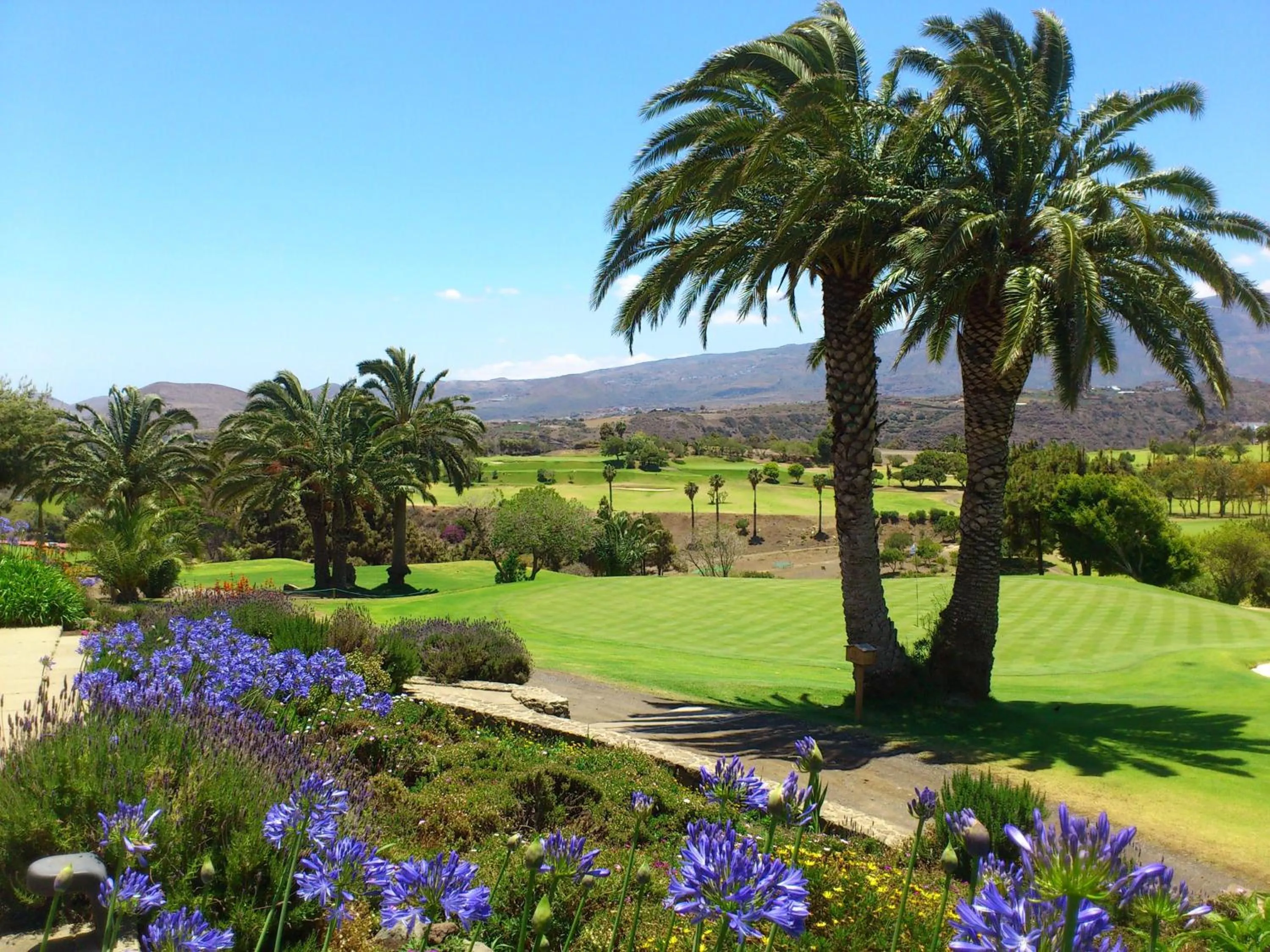 Natural landscape in Bandama Golf Hotel by Airnest