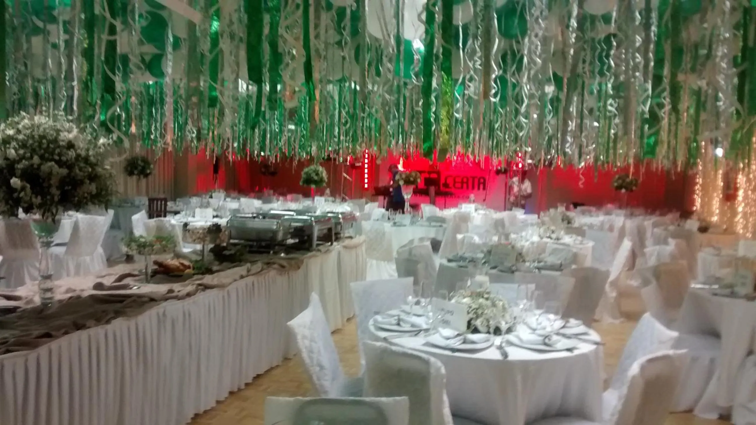 Entertainment in River Park Hotel