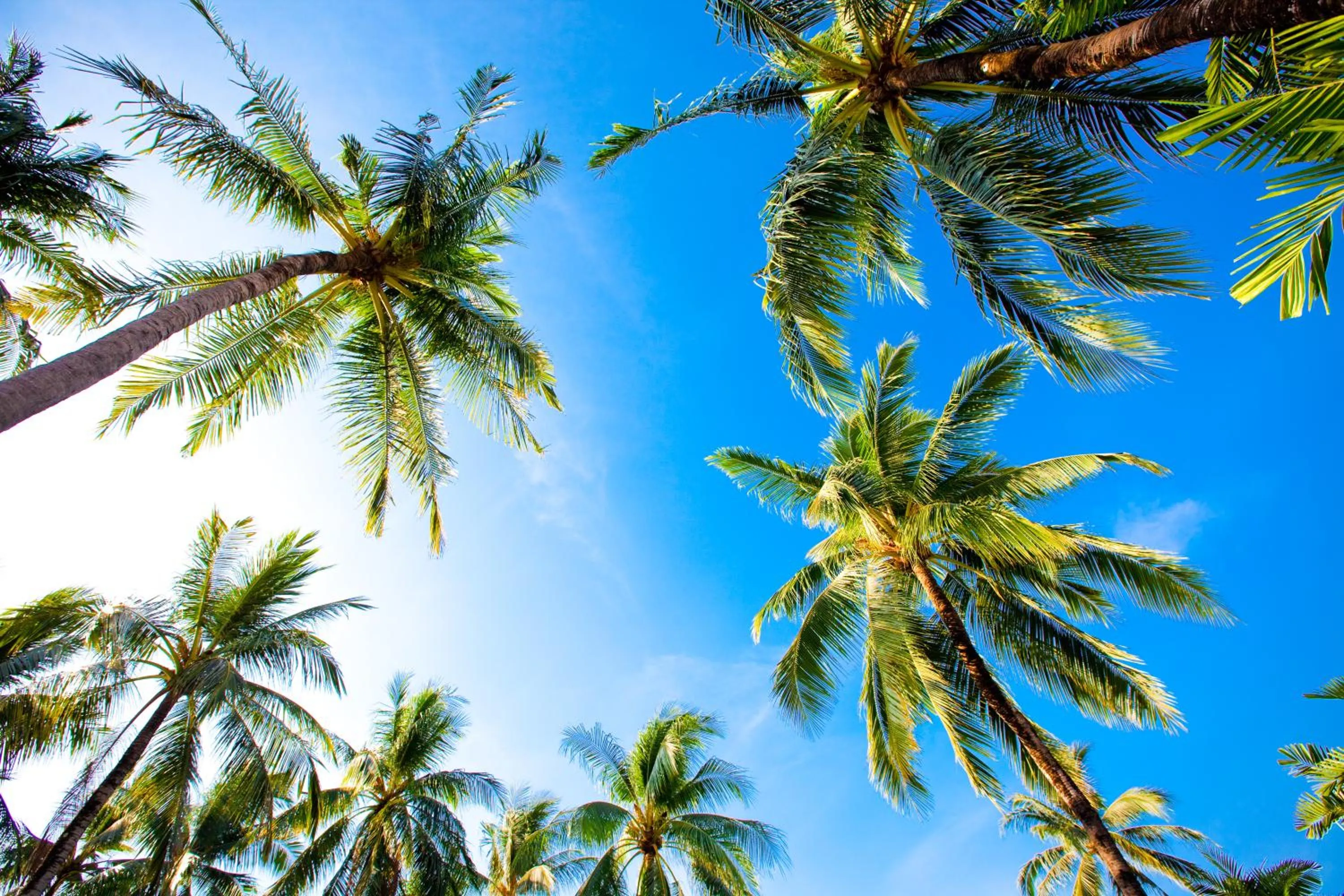 Other in Coconut Village Resort Phuket - SHA Extra Plus