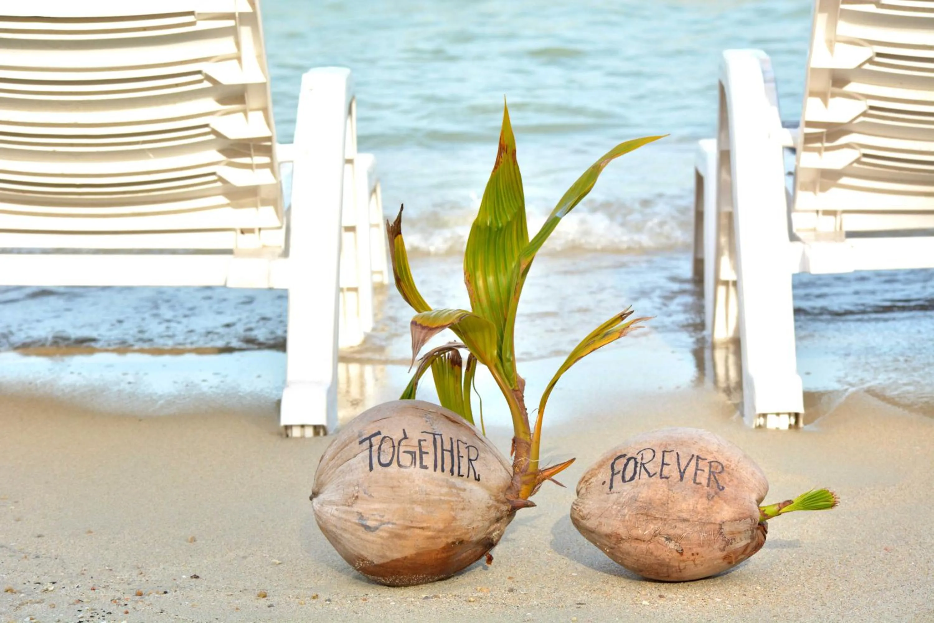 Beach in The Hideaway Pariya Haad Yuan Ko Pha-ngan