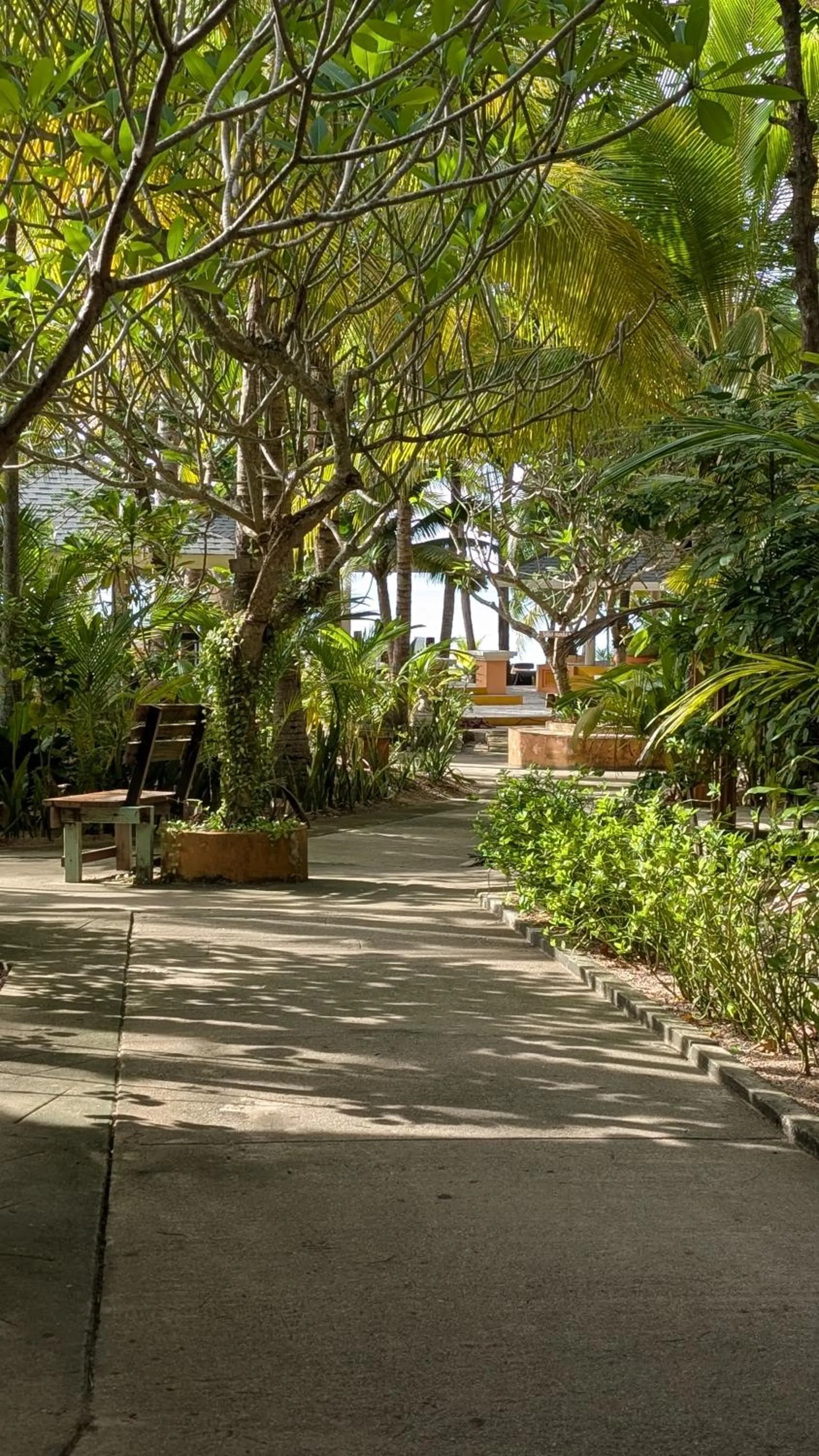 Garden view in The Hideaway Pariya Haad Yuan Ko Pha-ngan