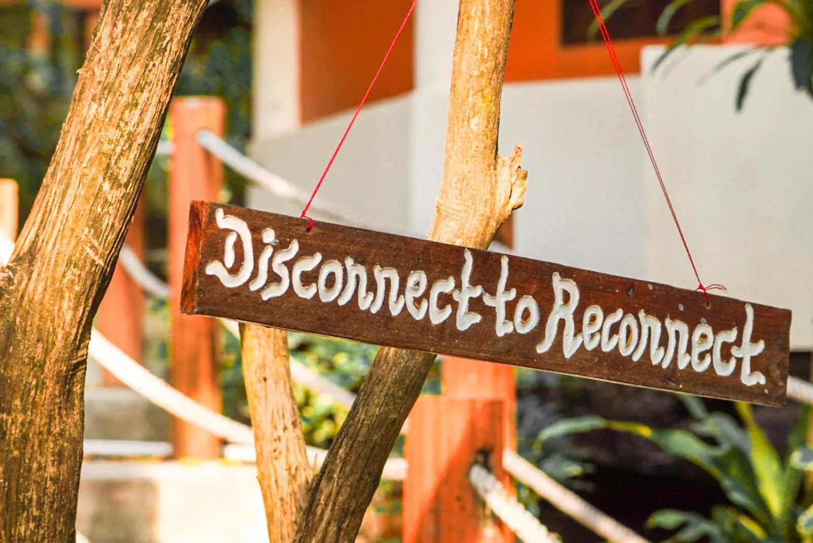 Logo/Certificate/Sign in The Hideaway Pariya Haad Yuan Ko Pha-ngan