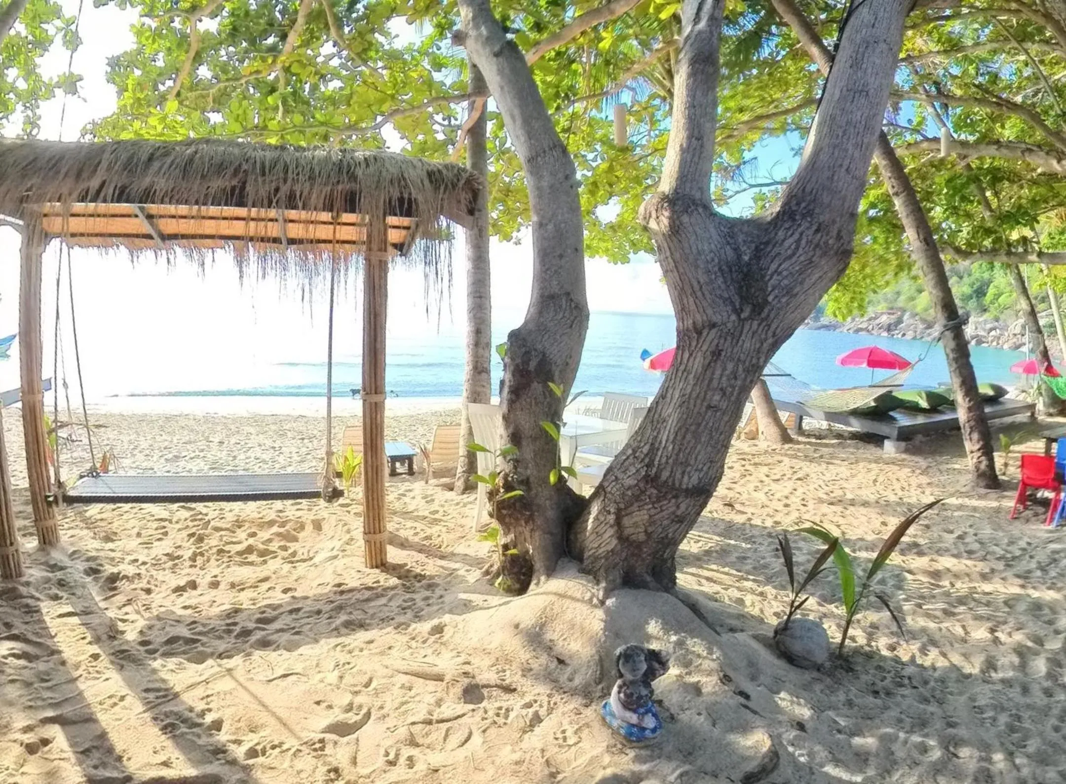 Garden in The Hideaway Pariya Haad Yuan Ko Pha-ngan