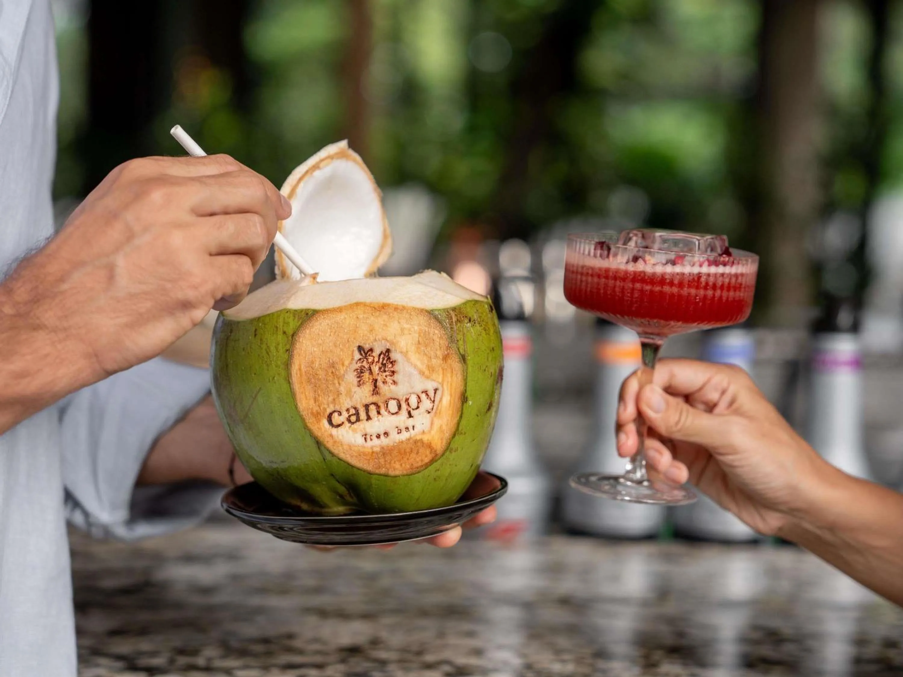 Lounge or bar in Novotel Phuket Kata Avista Resort and Spa