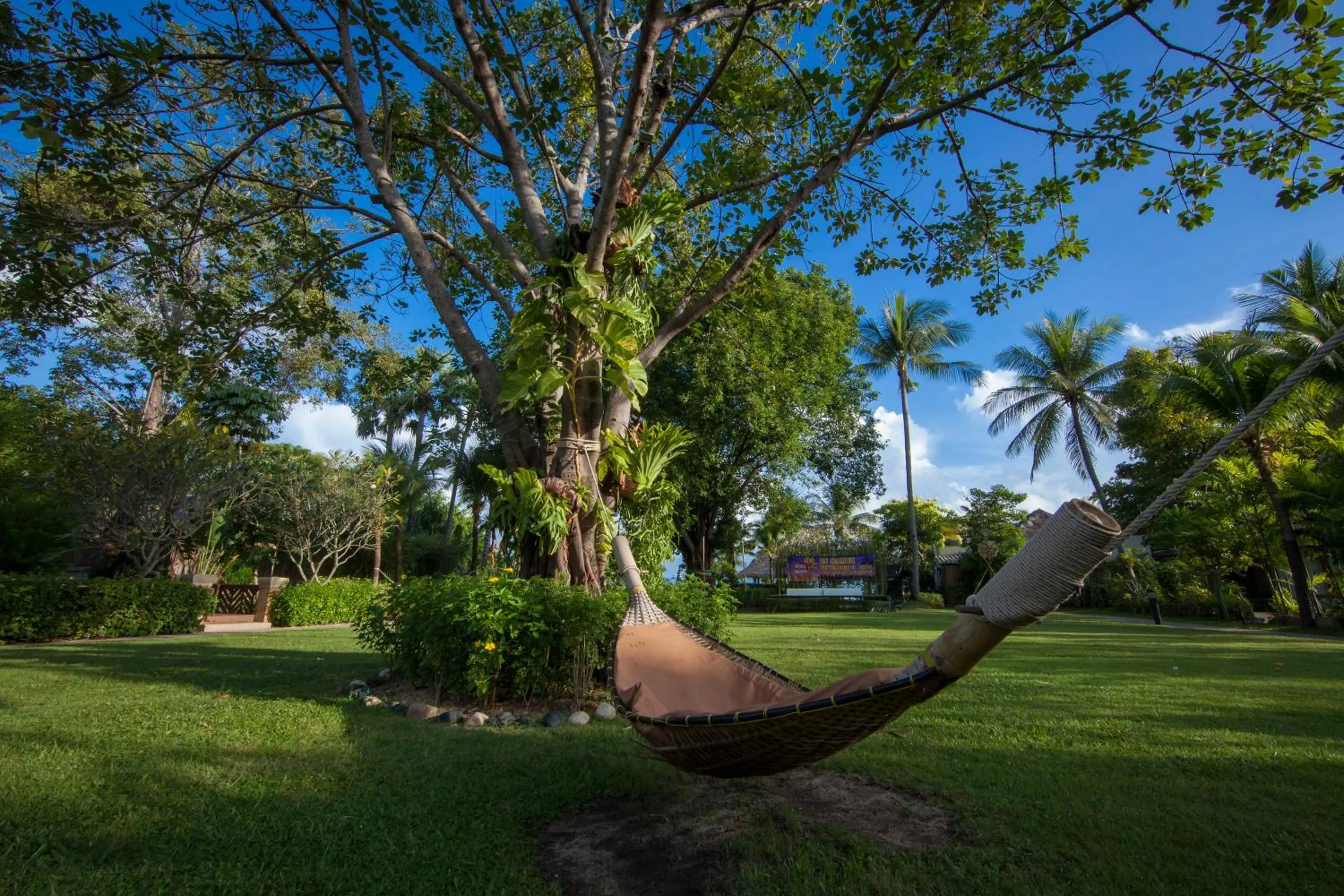 Garden in Bandara Spa Resort & Pool Villas, Samui