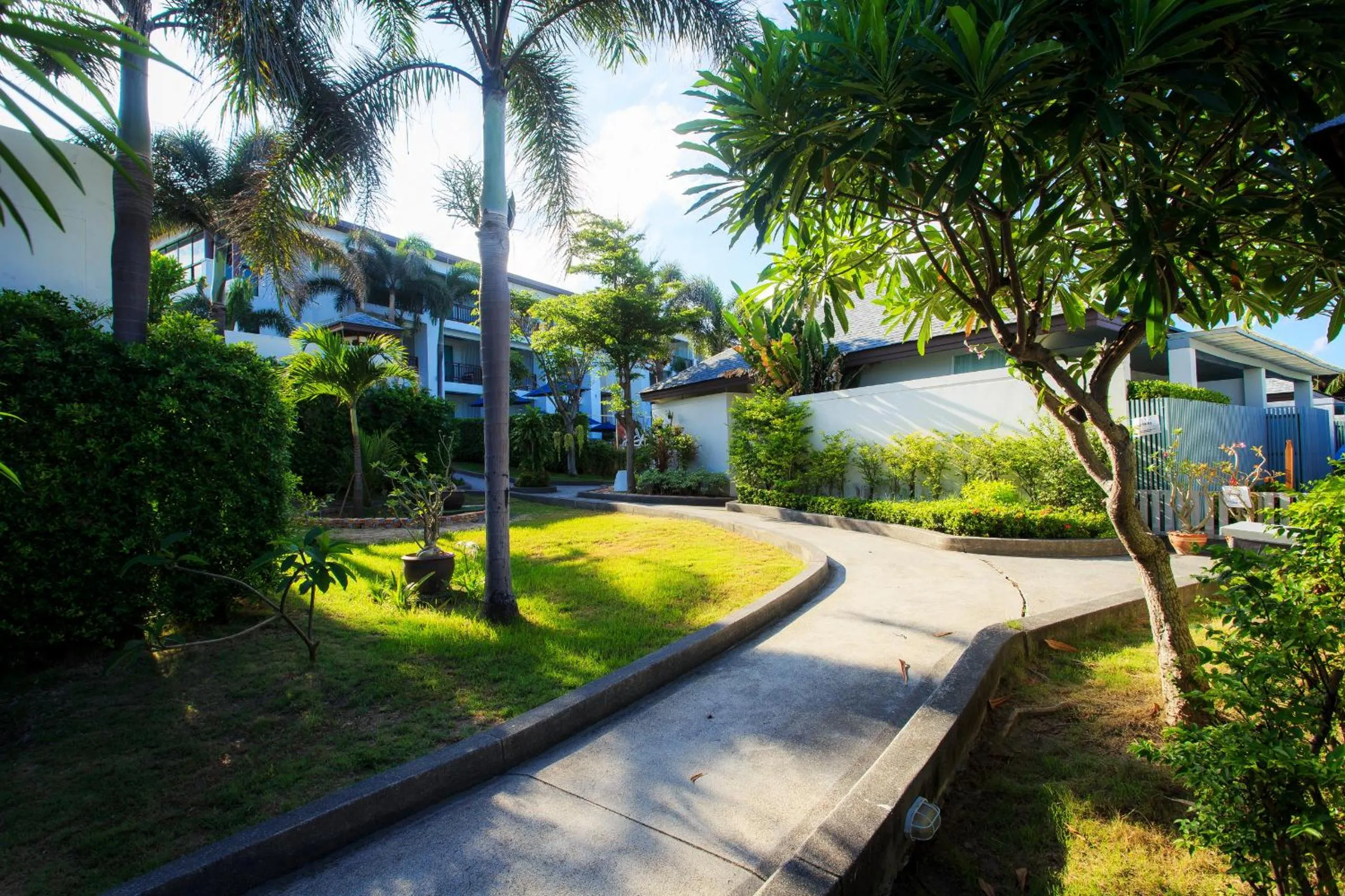 Natural landscape in Samui Resotel Beach Resort