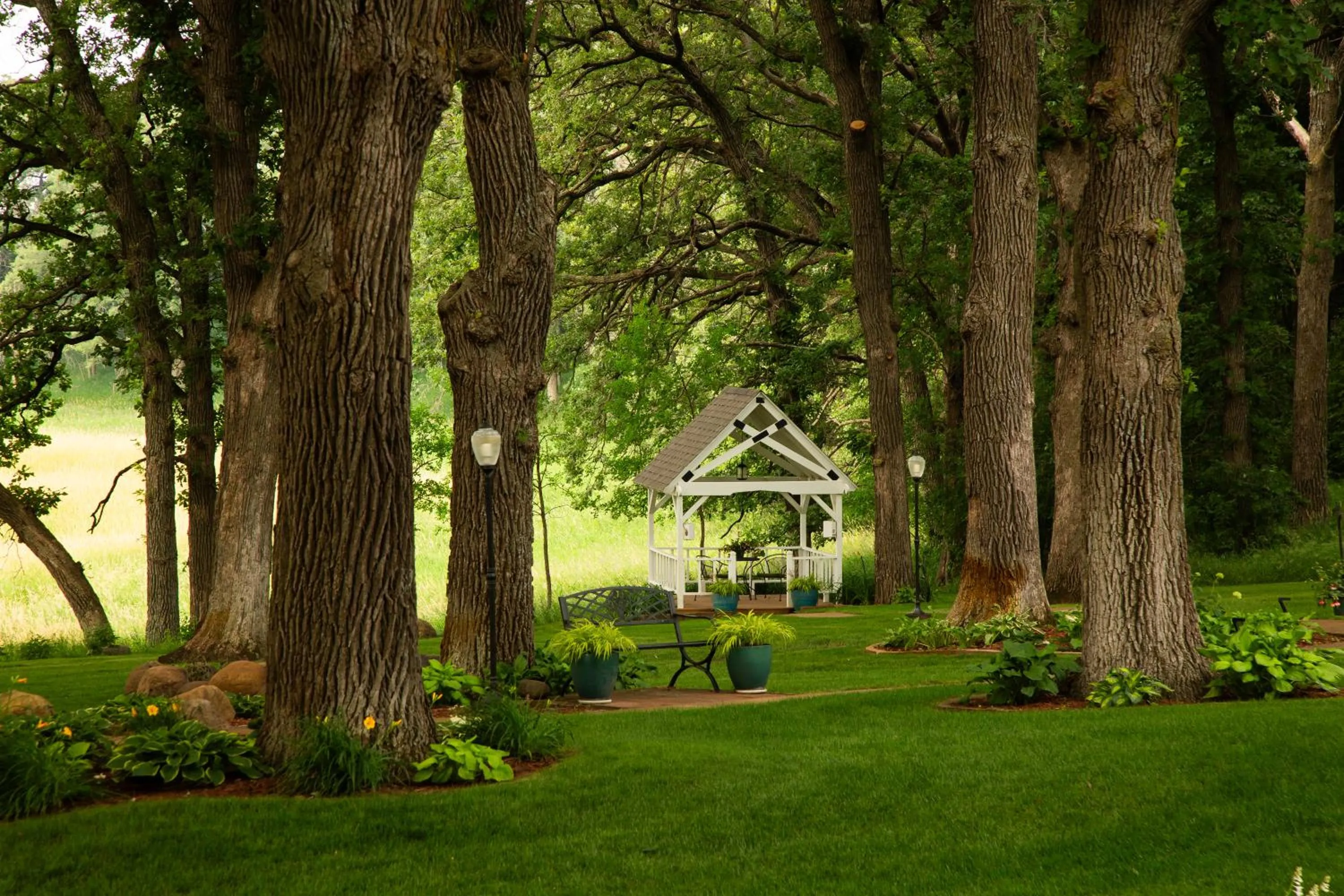 Natural landscape in The Oakwood Inn Okoboji