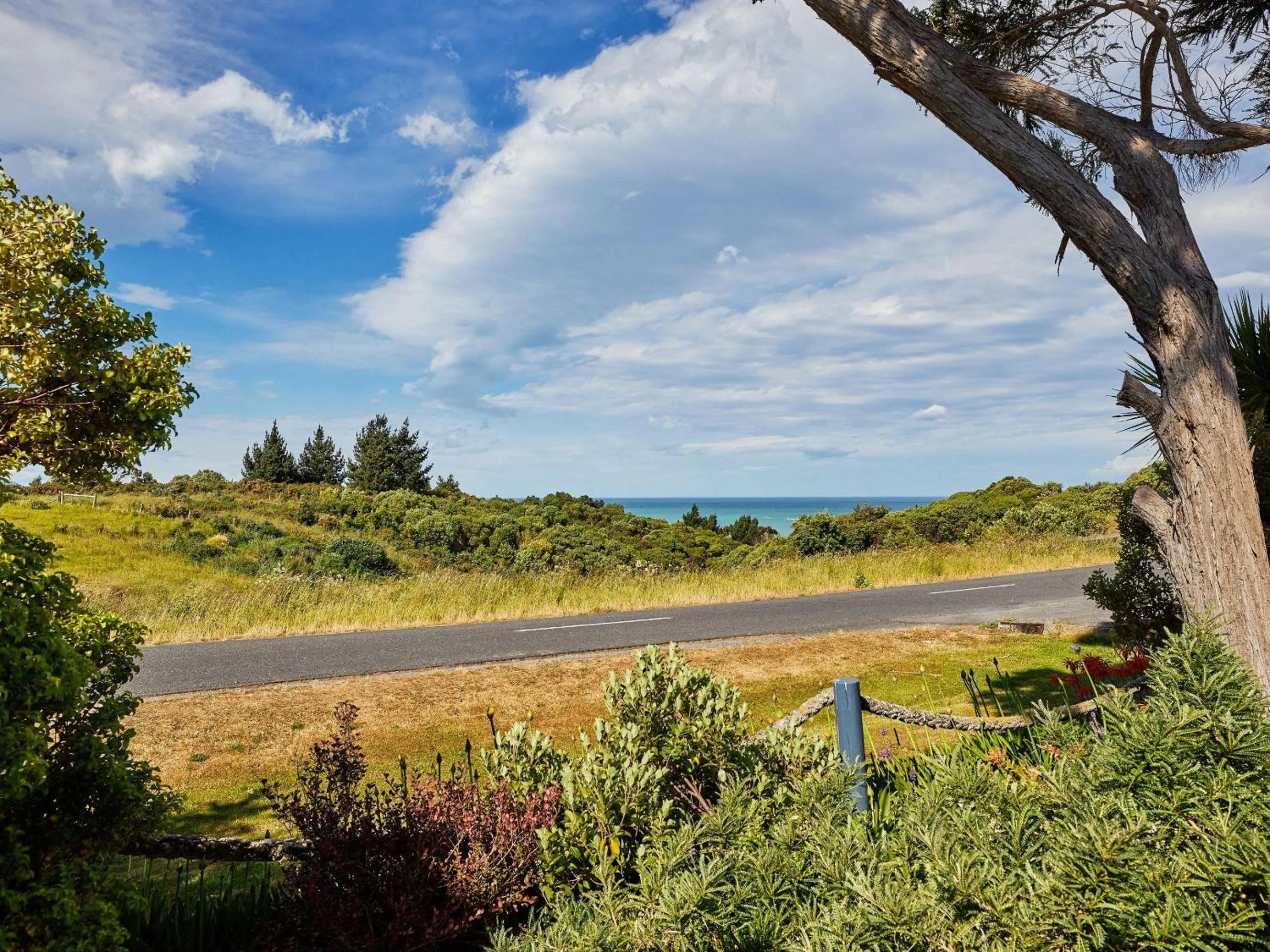 Garden view in Barnacle Bills