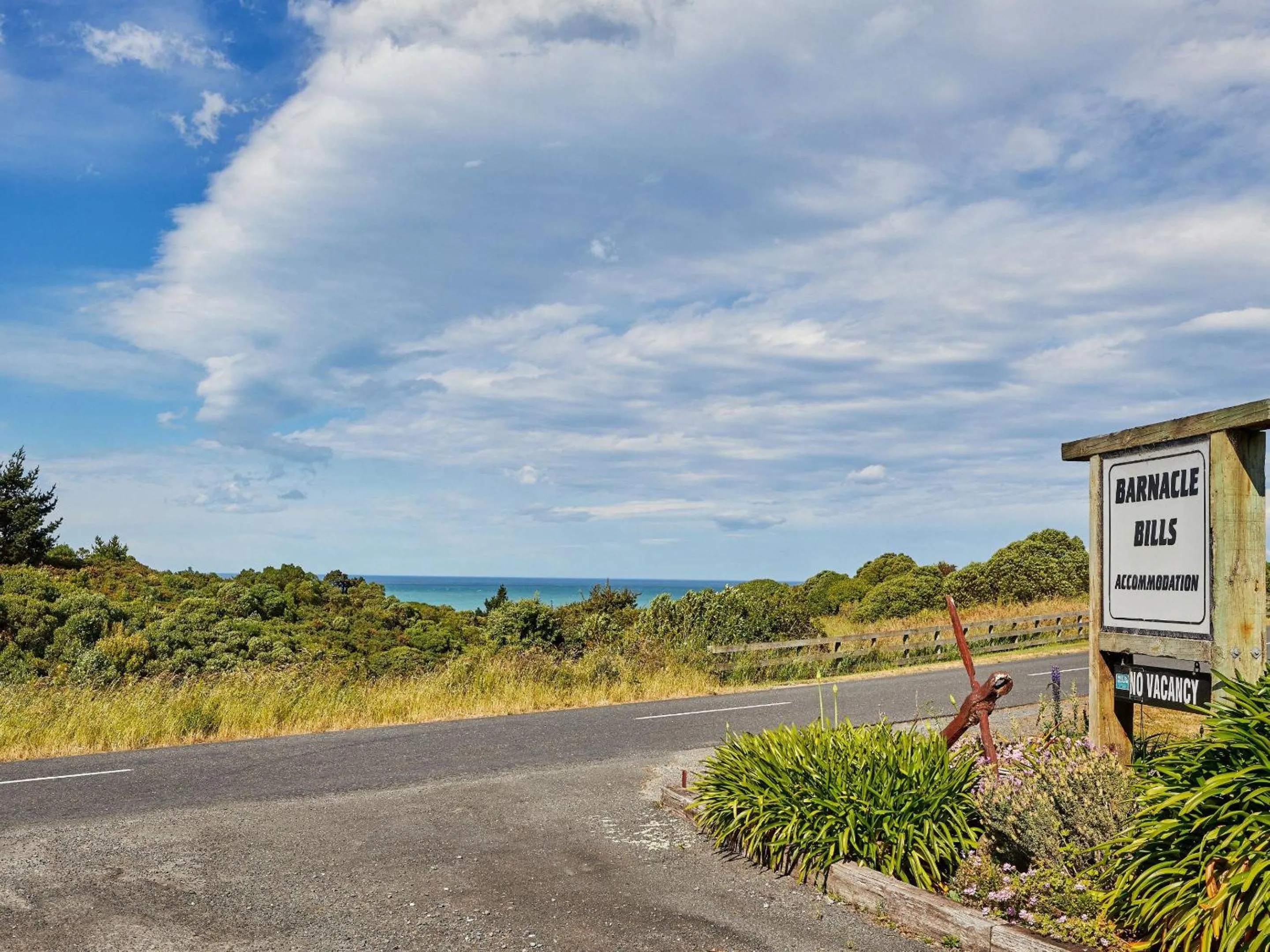 Natural landscape in Barnacle Bills