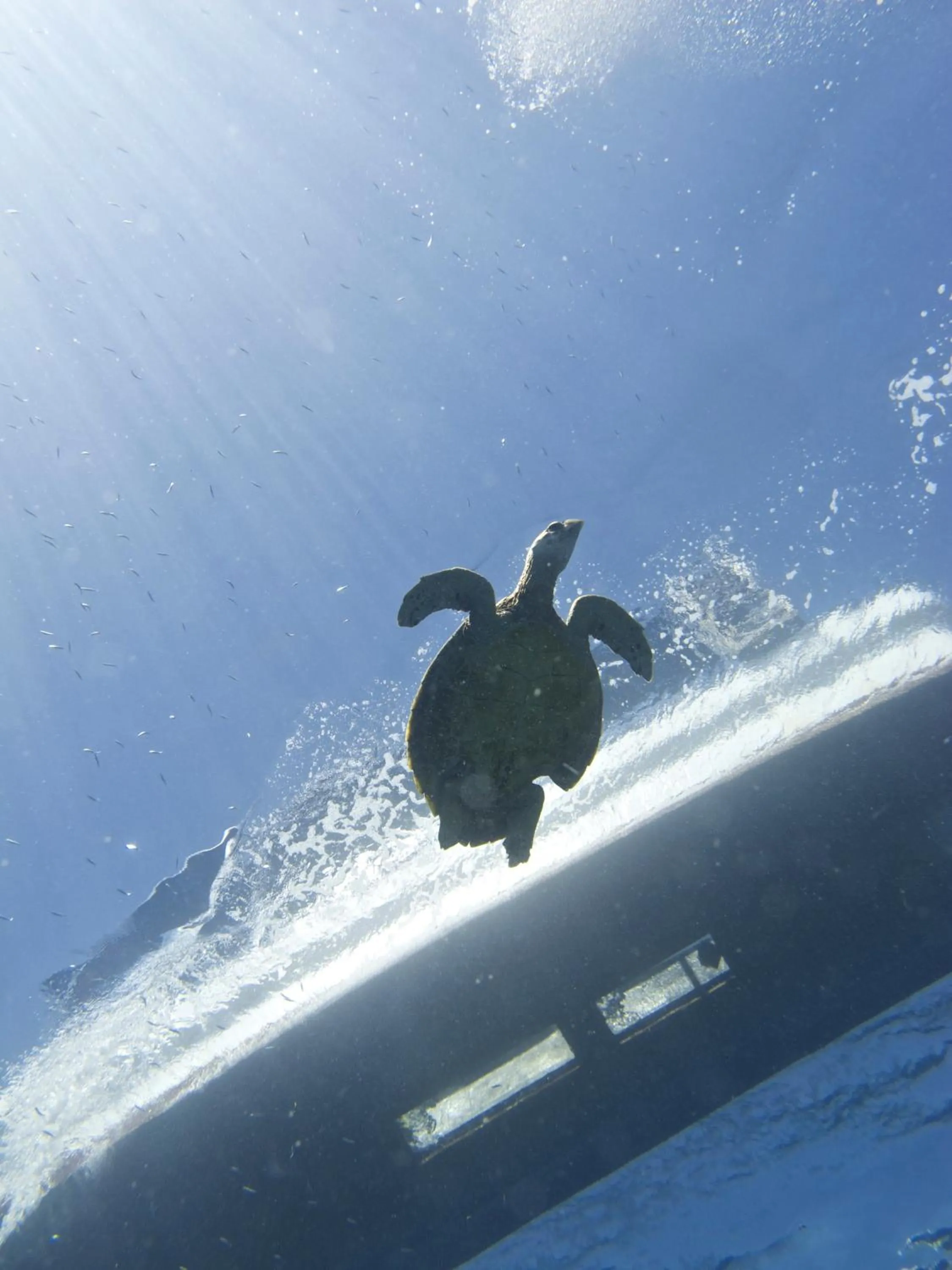 Neighbourhood in Breathe Villa Meno