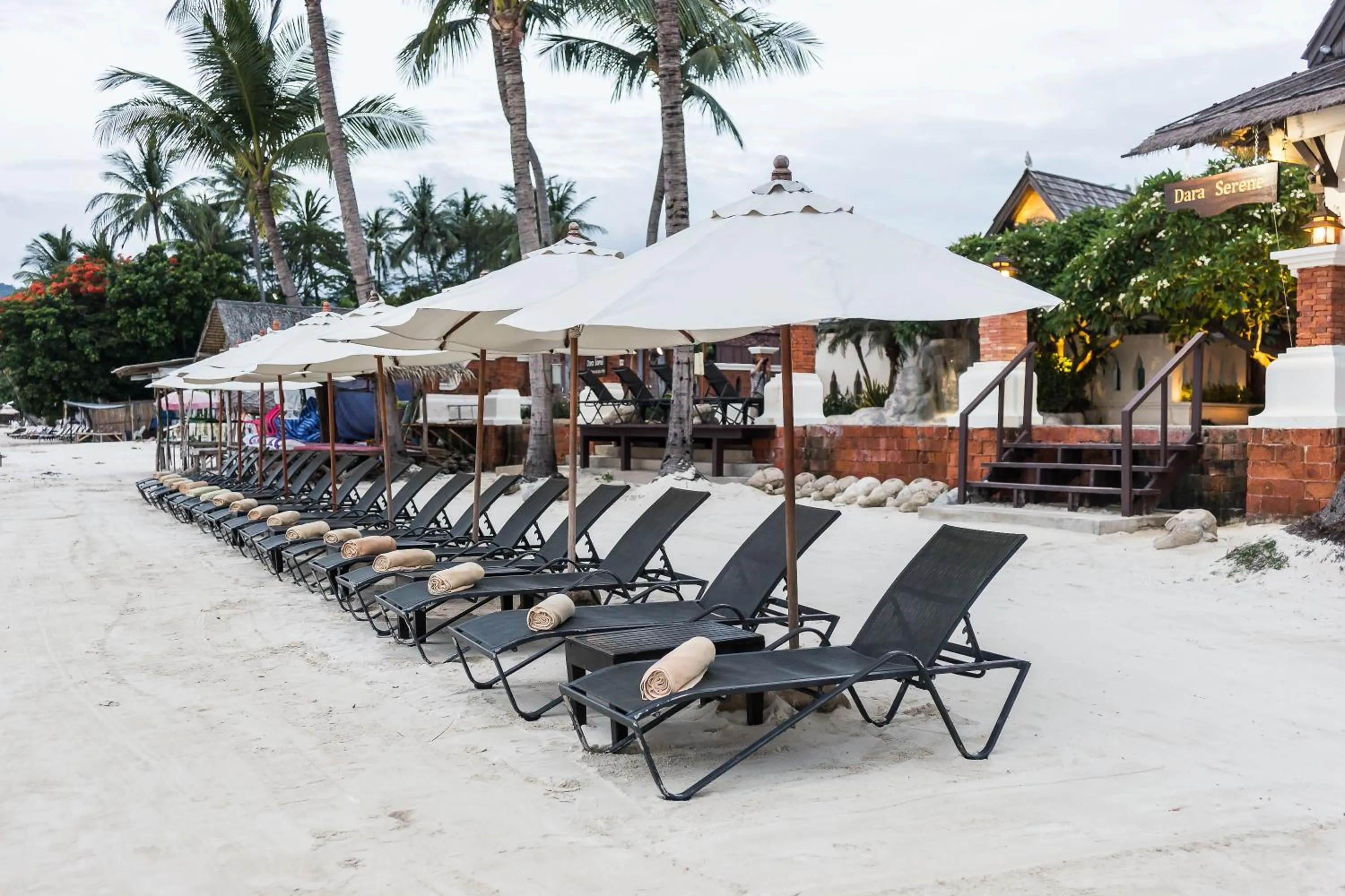 Beach in Dara Samui Beach Resort Adults Only, Chaweng