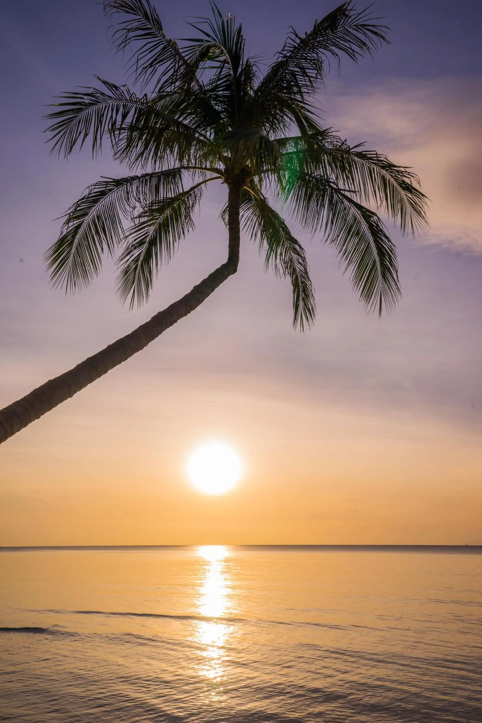 Day in Samui Paradise Chaweng Beach Resort