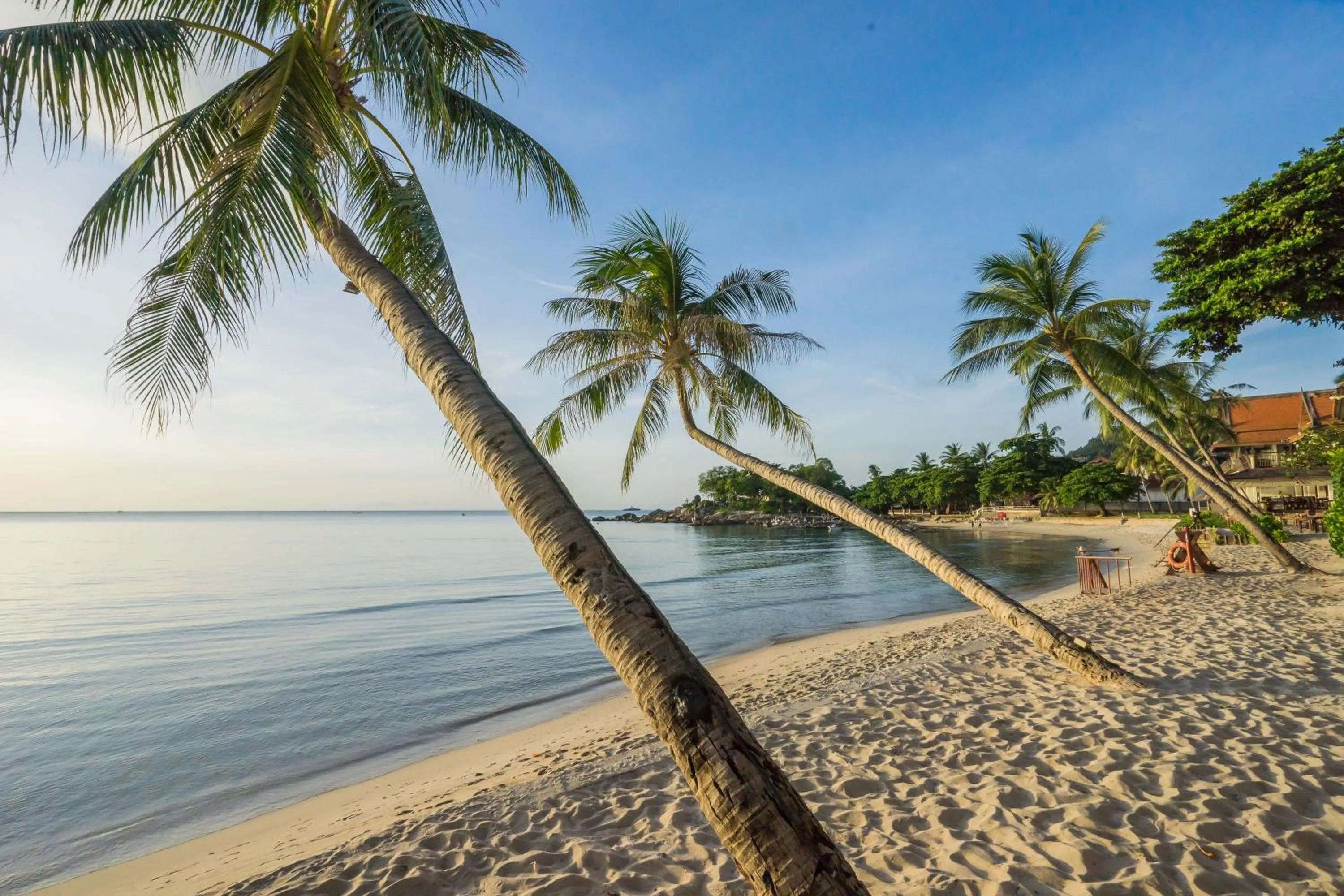 Day in Samui Paradise Chaweng Beach Resort