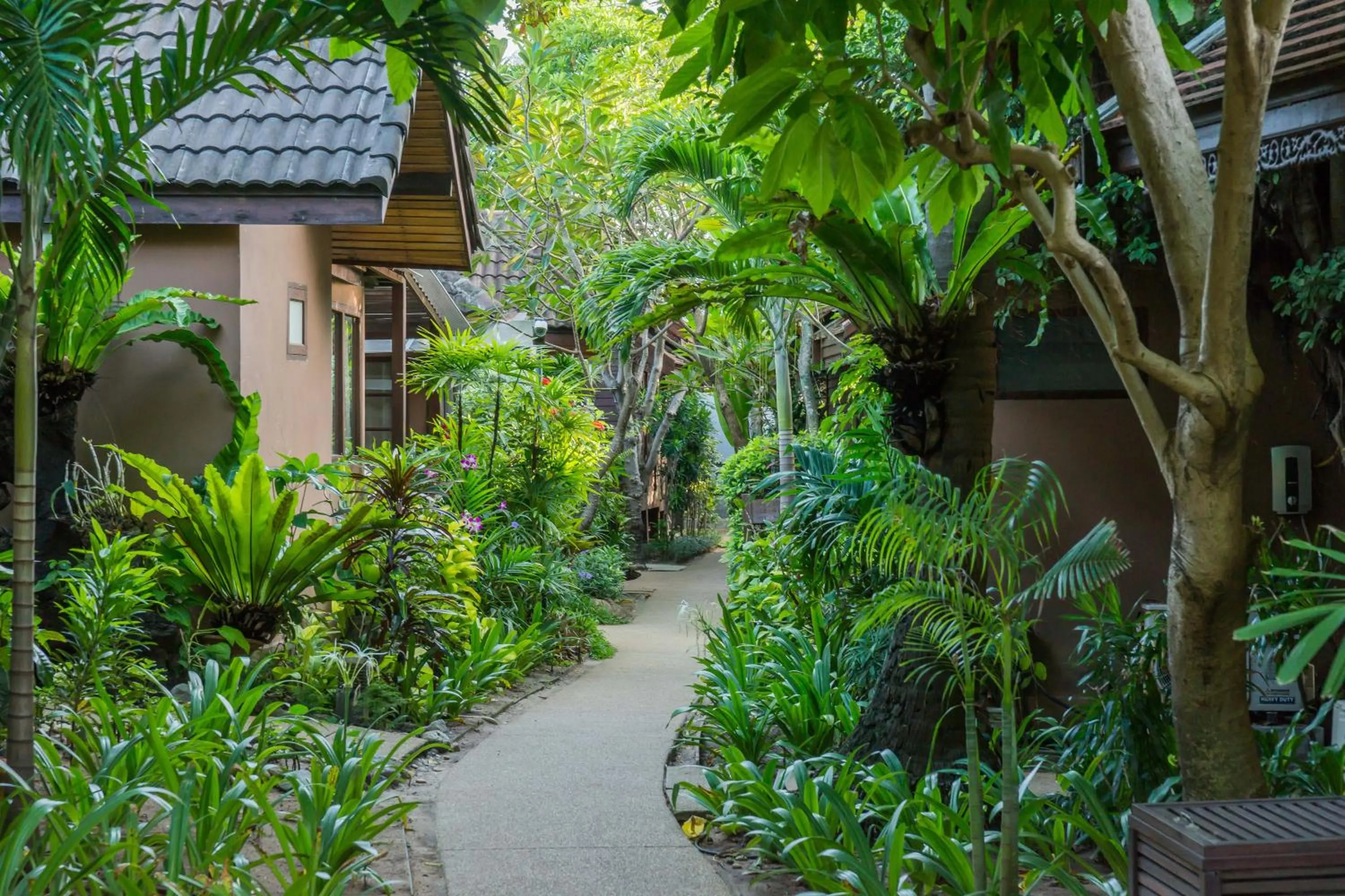 Day in Samui Paradise Chaweng Beach Resort