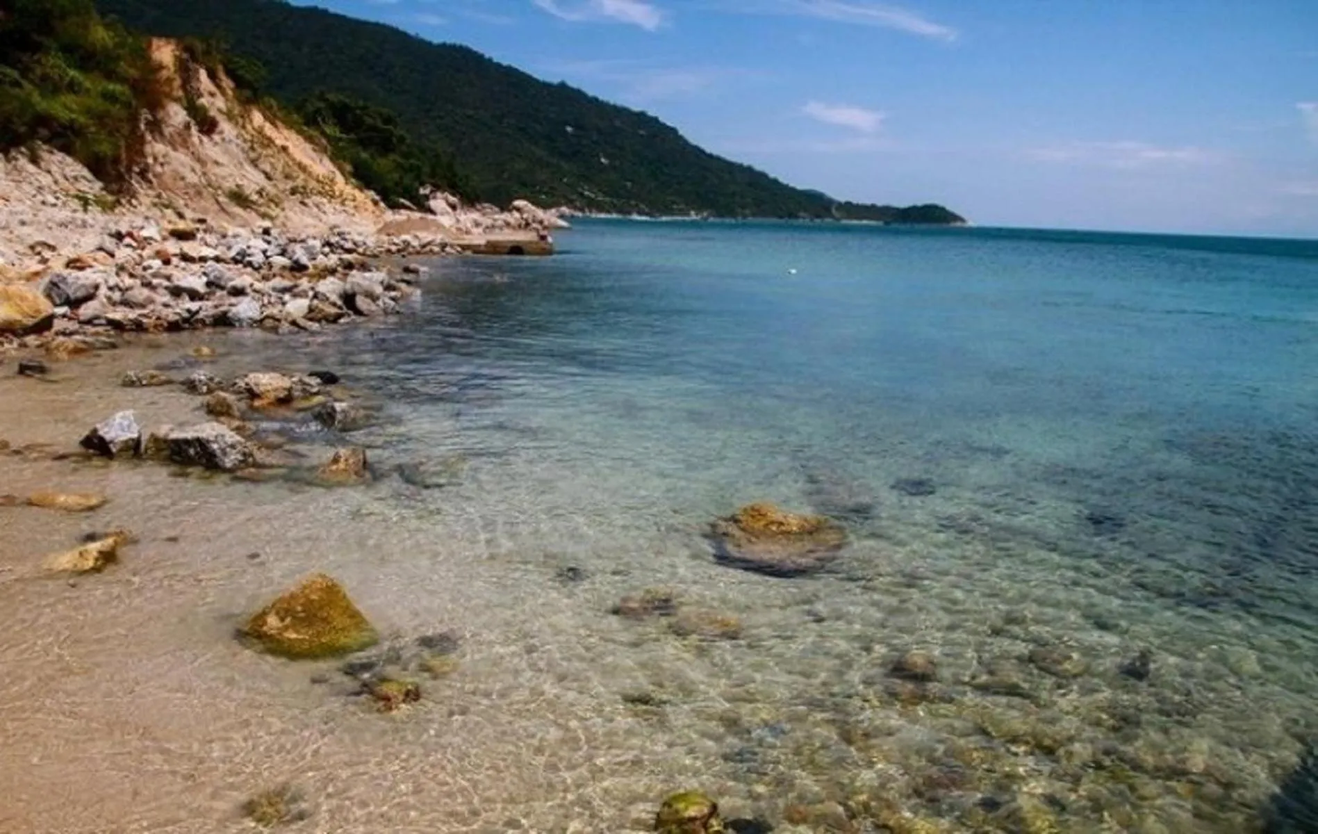 Diving in Flame Flowers Homestay