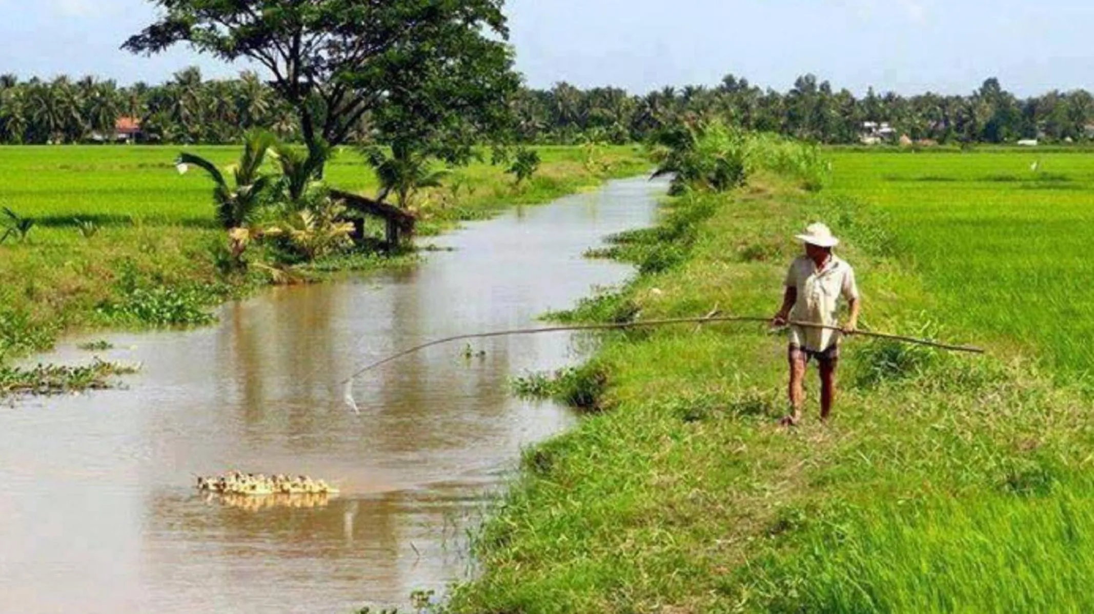 Street view in Flame Flowers Homestay